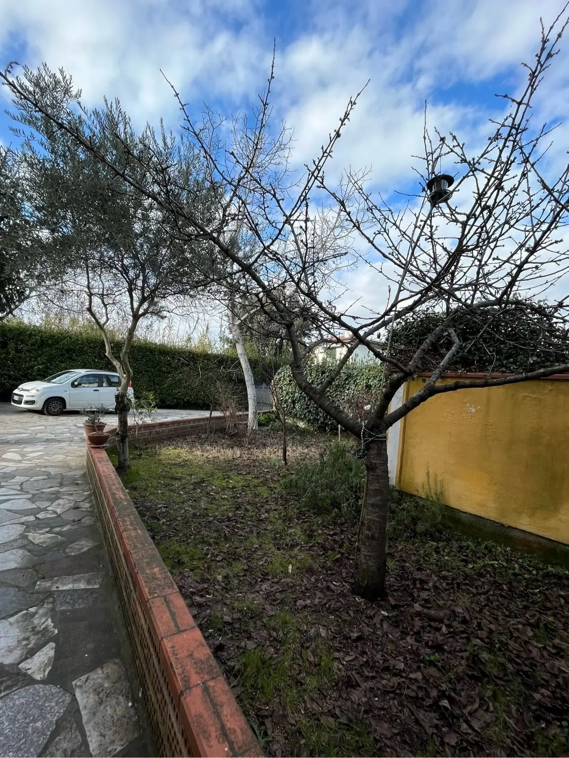 image-2