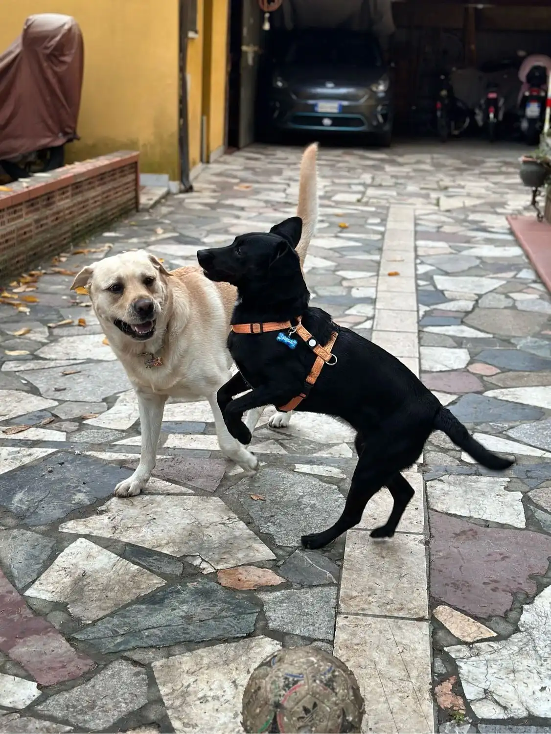 image-20