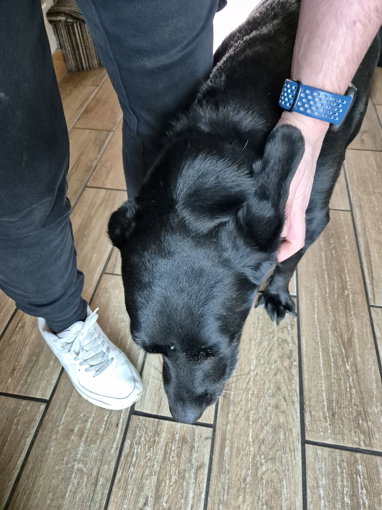 image-10