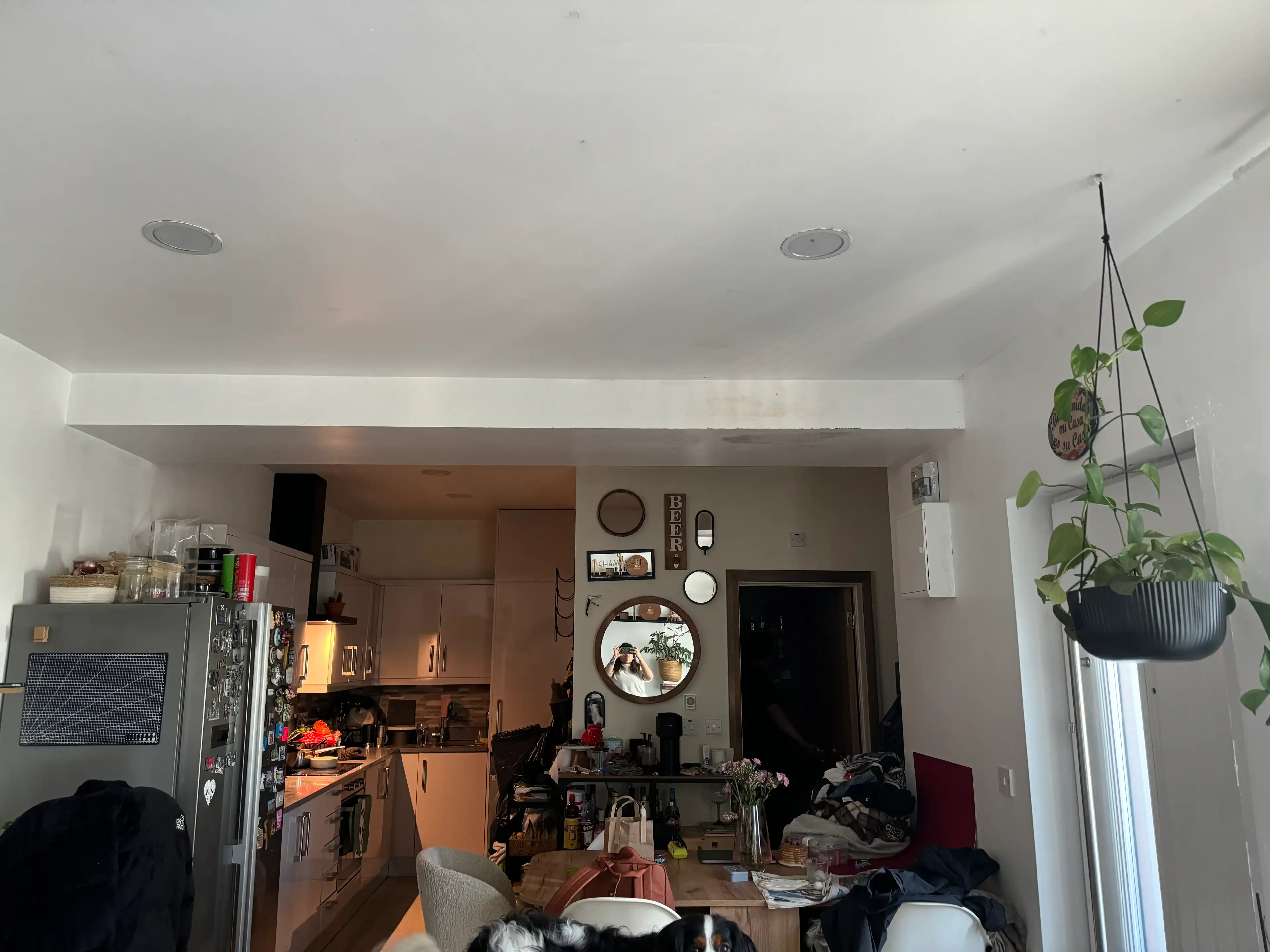 image-18