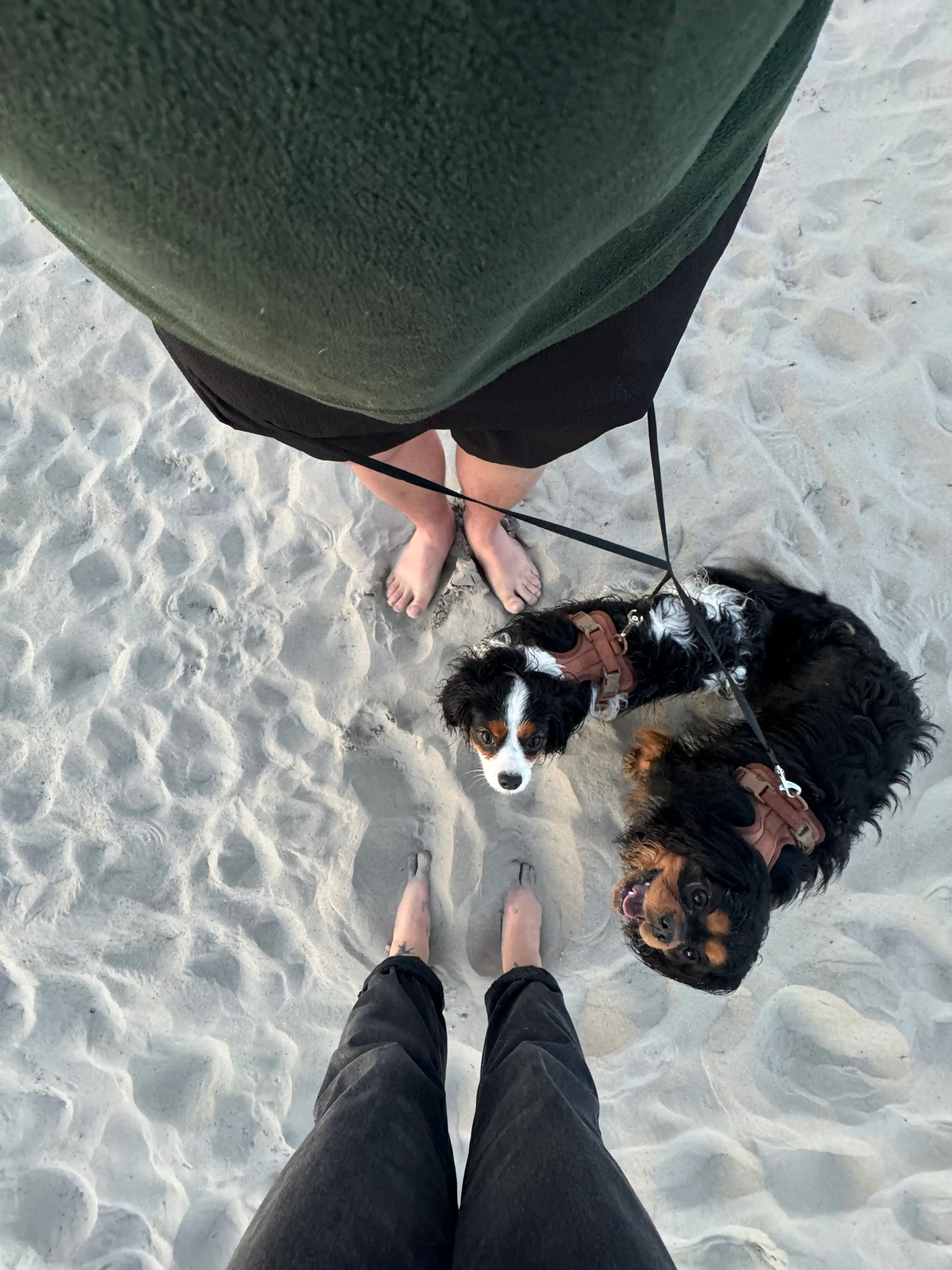 image-7