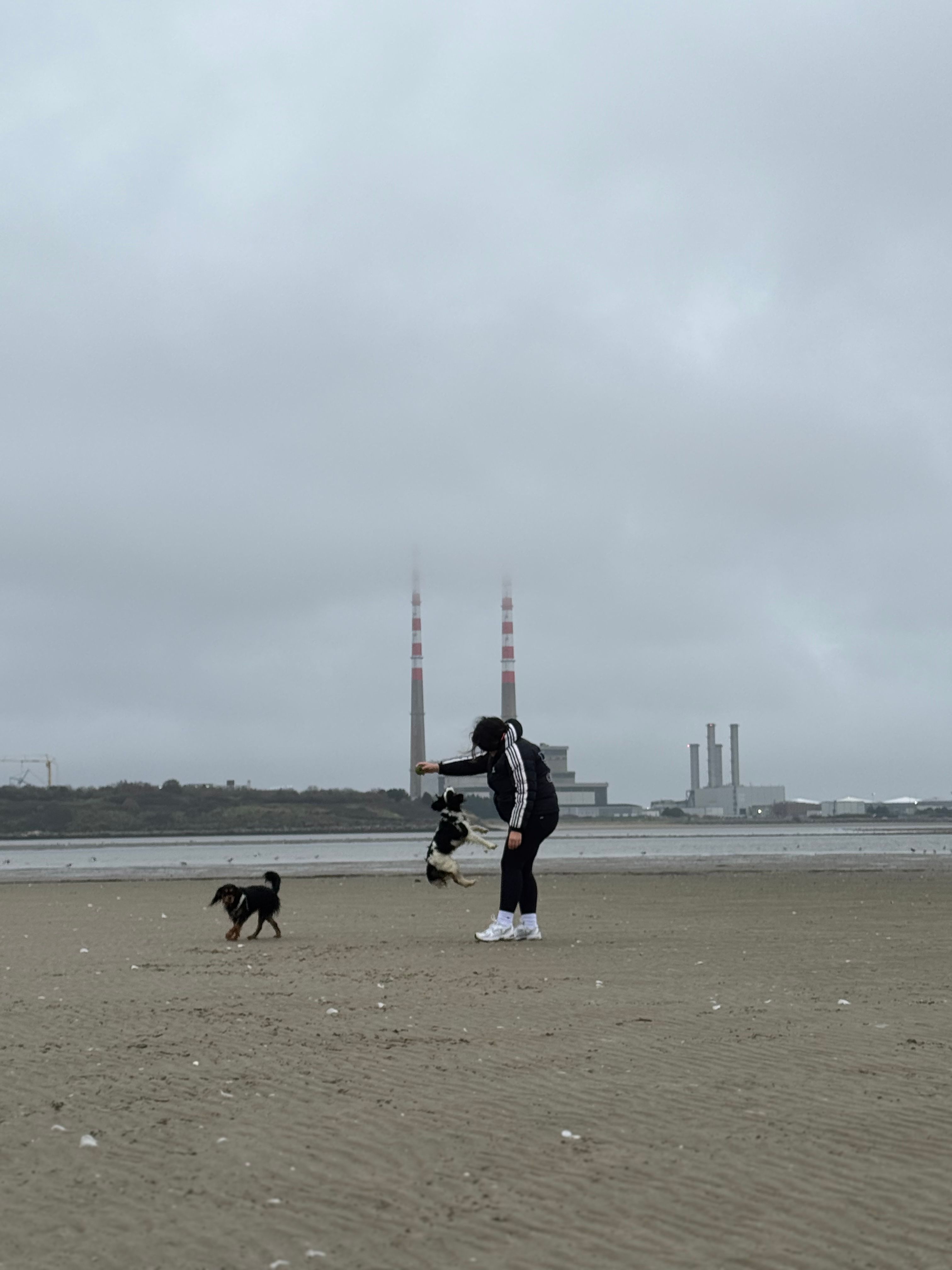 image-9