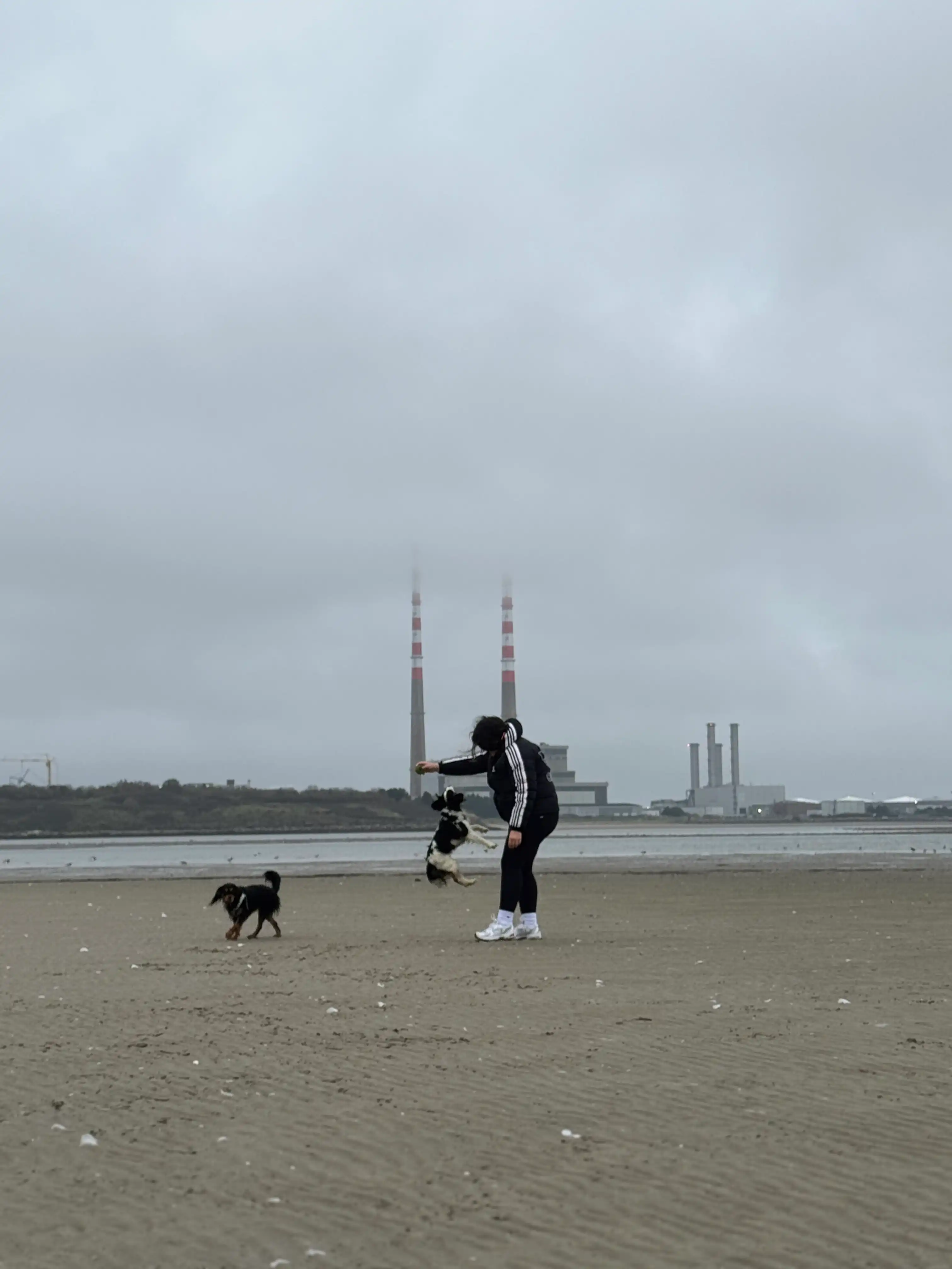image-9