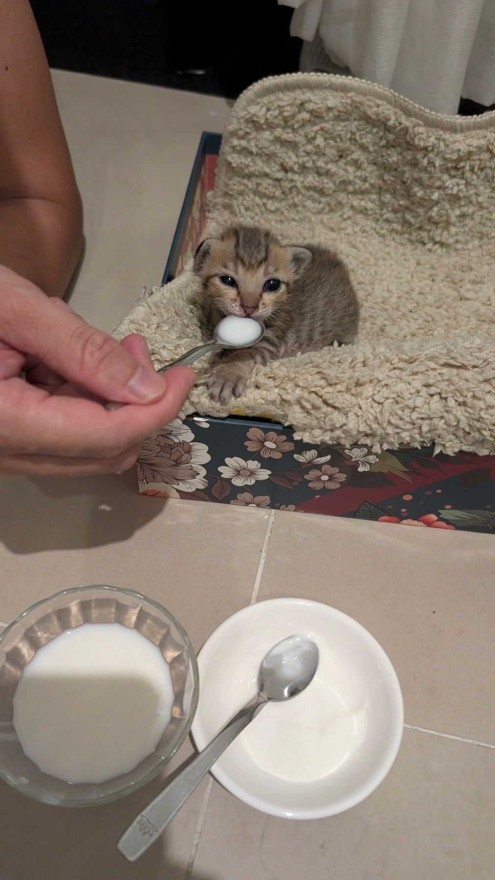 image-16