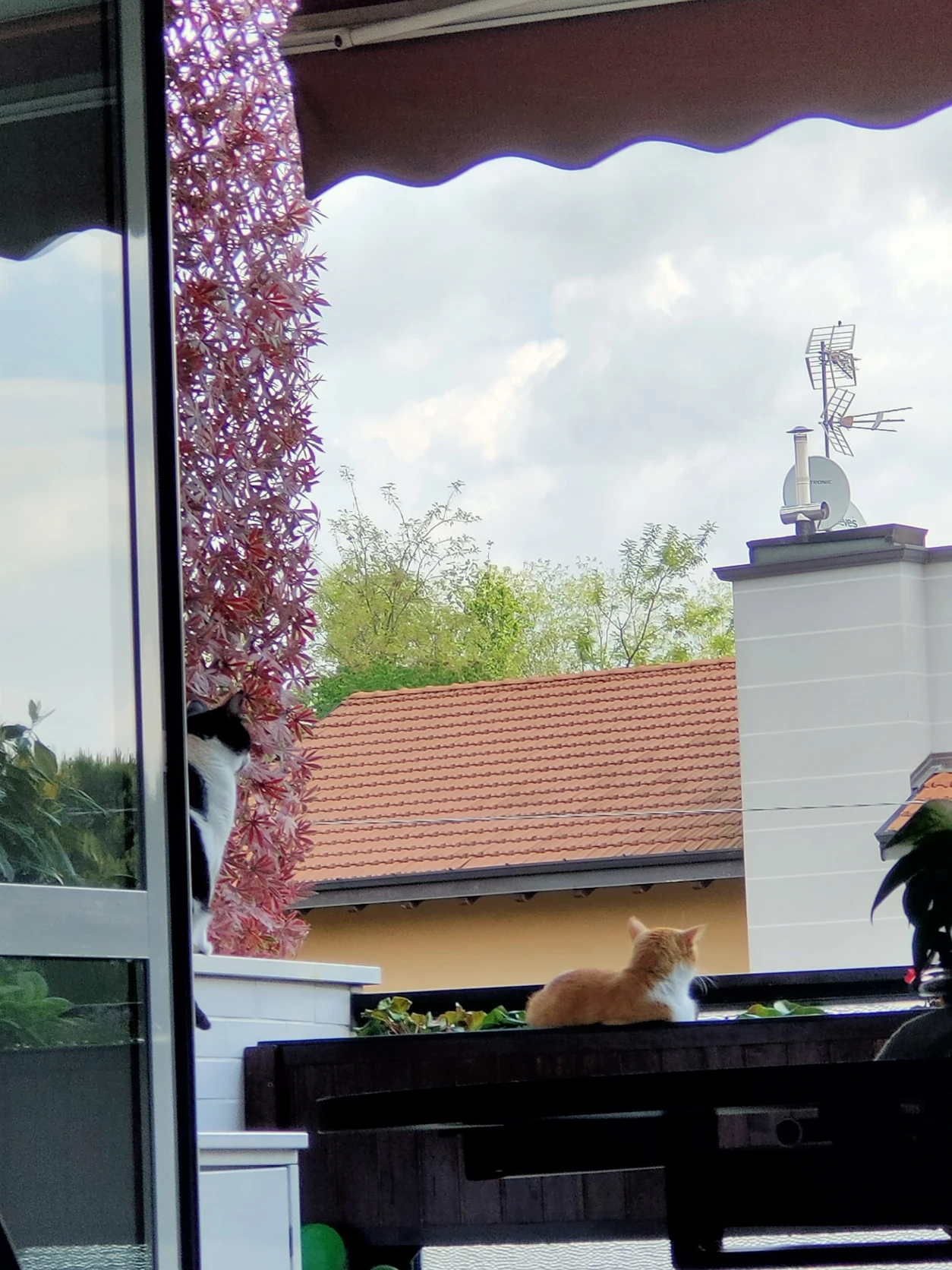 image-6