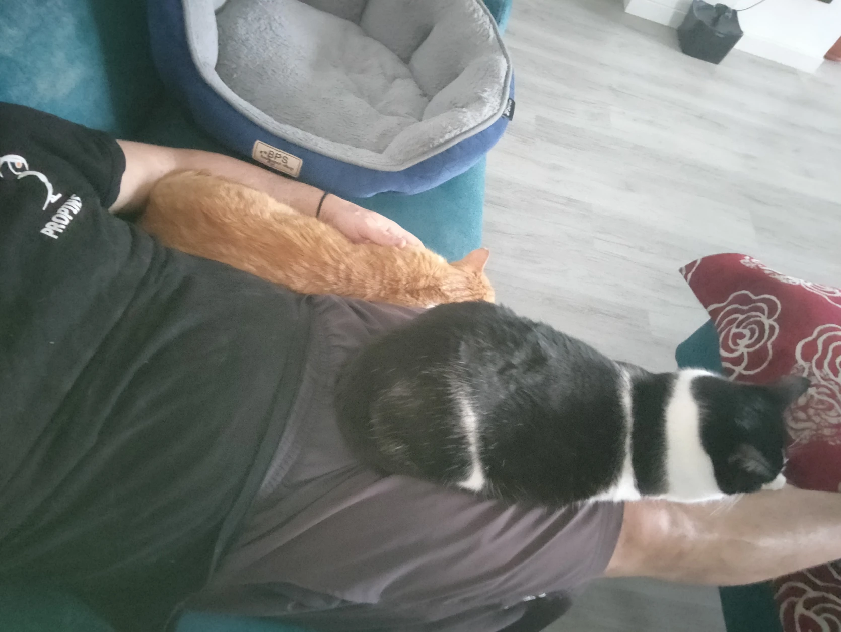 image-5