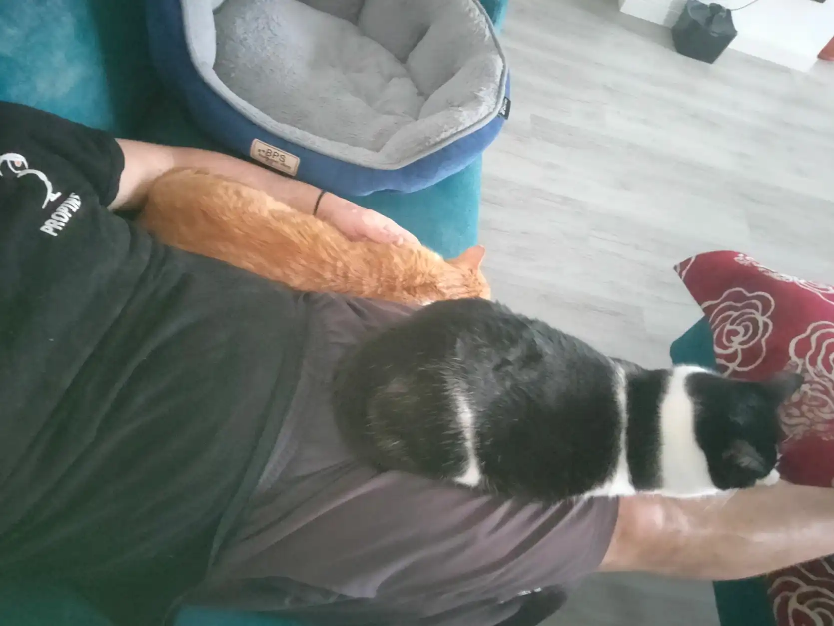 image-5