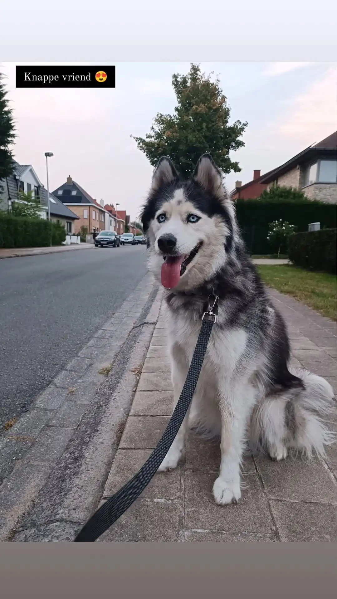 image-18