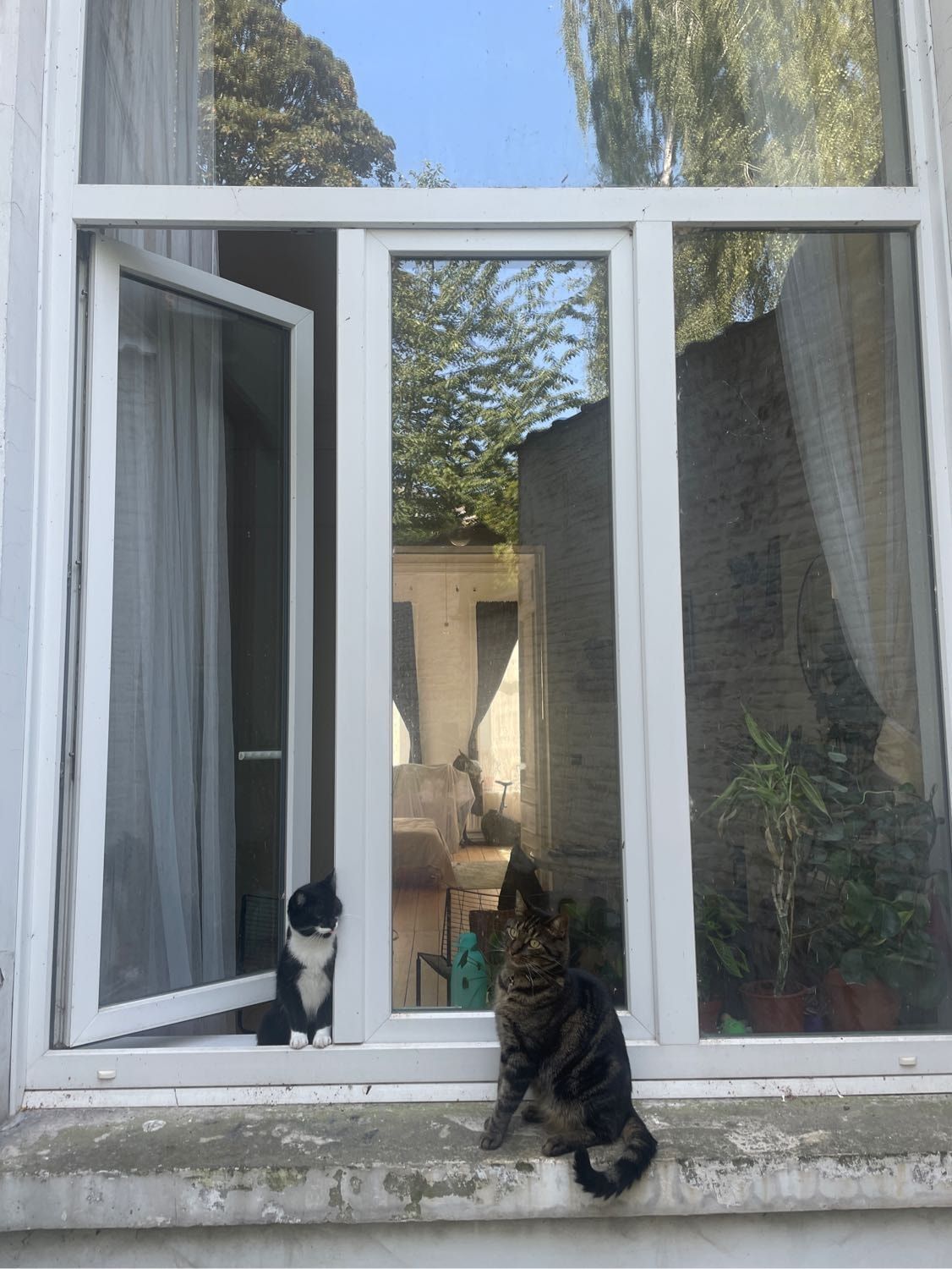 image-18