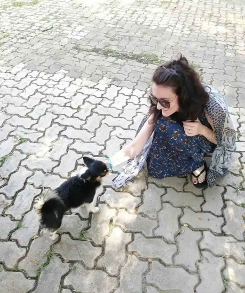 image-5