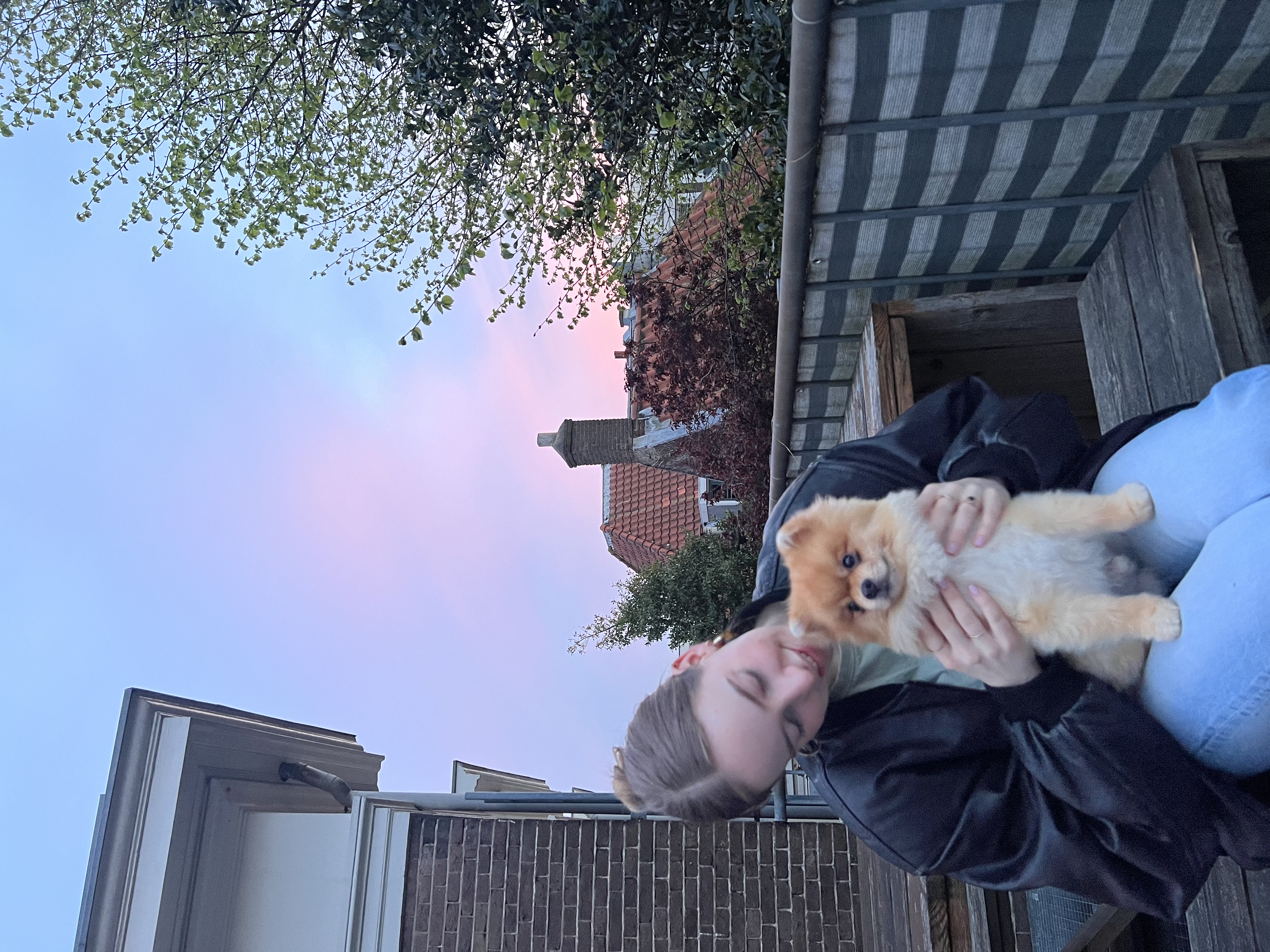 image-4