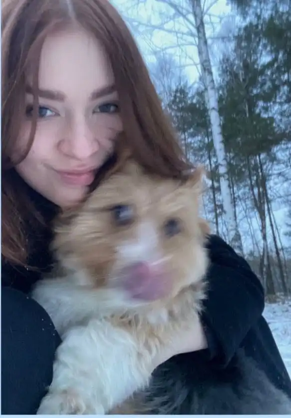 image-7