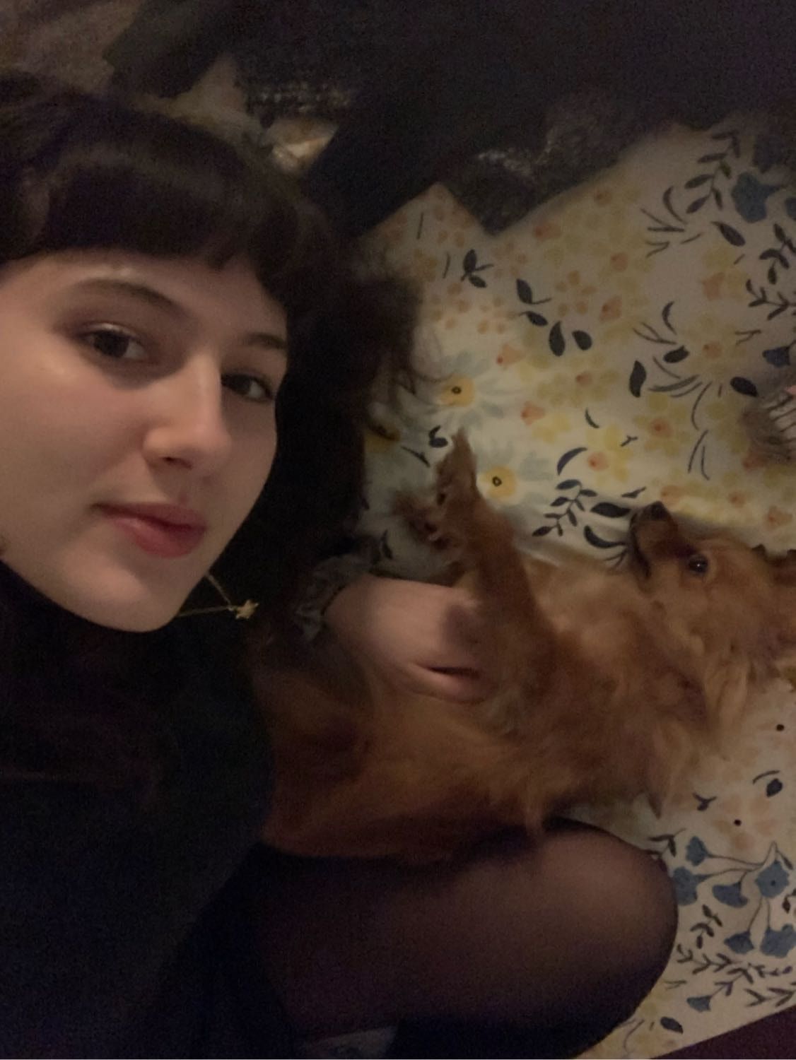 image-8