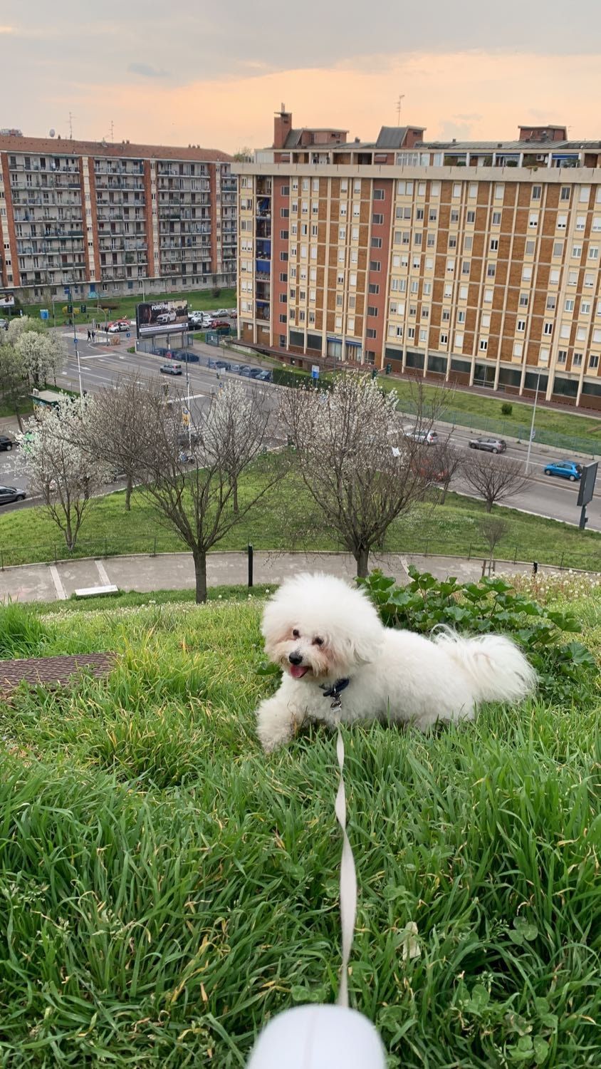 image-14