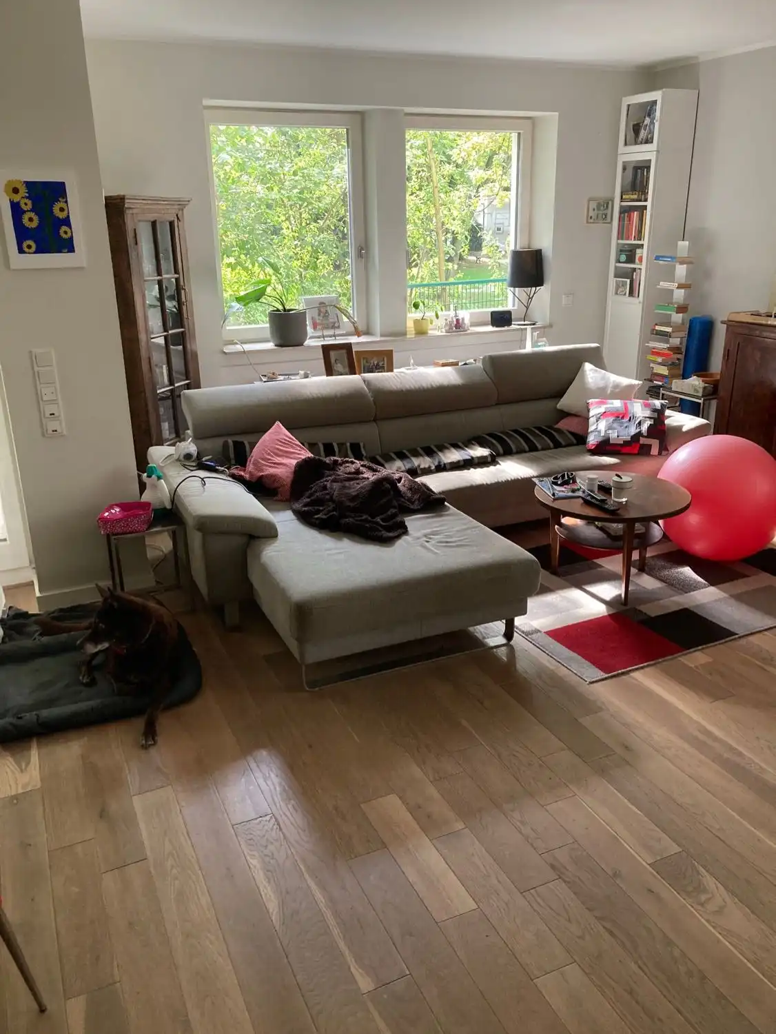 image-5