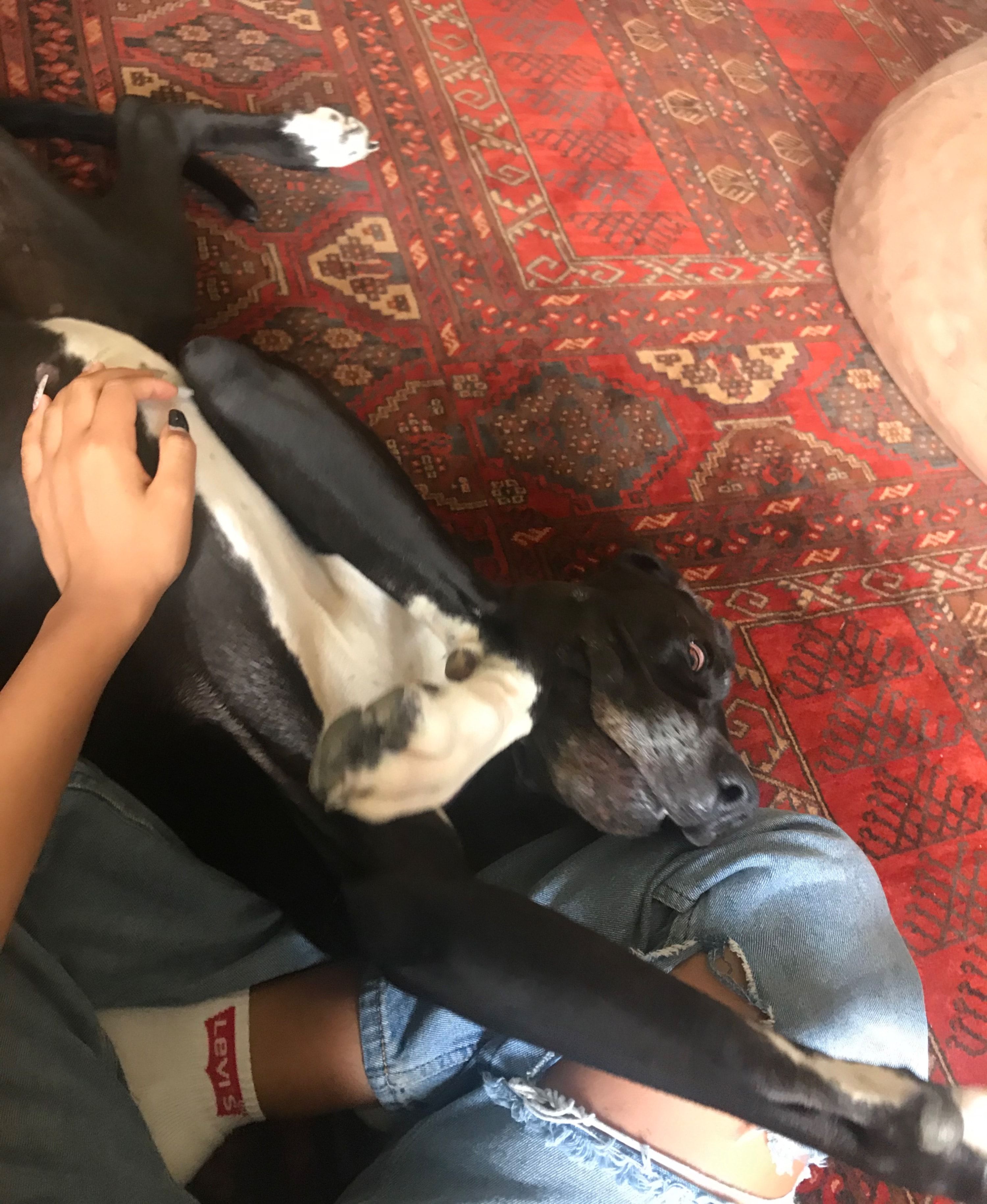 image-7