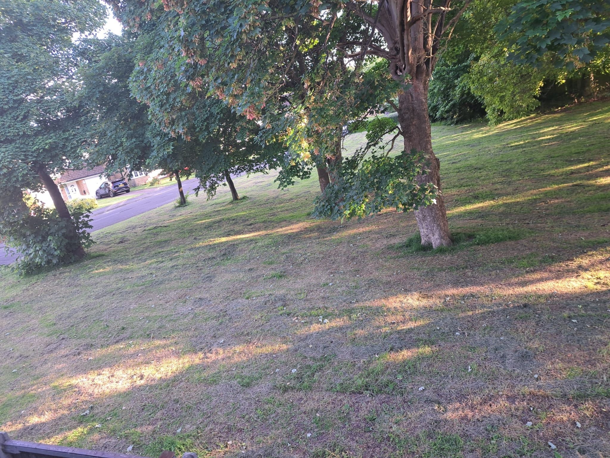 image-6