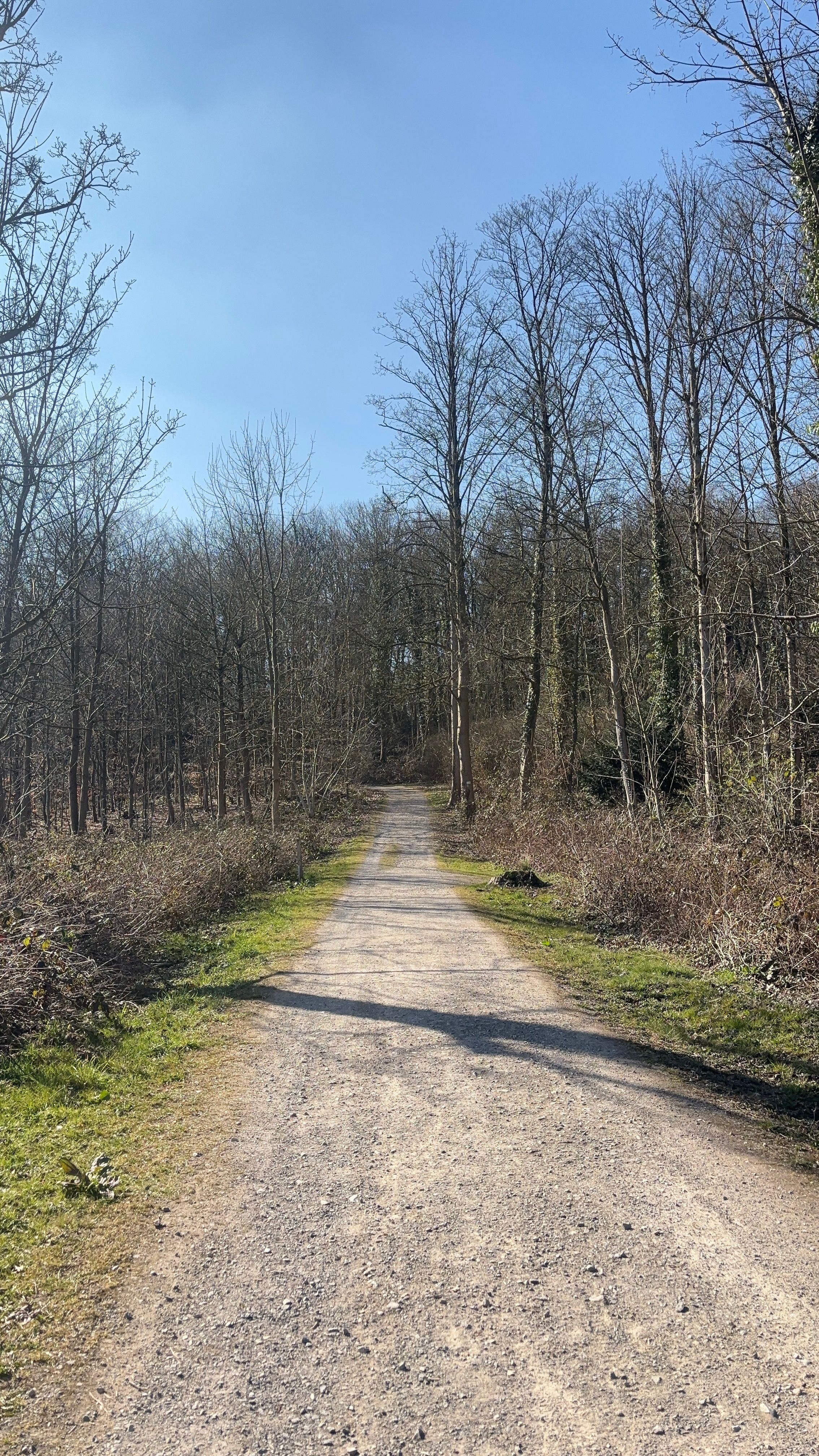 image-14