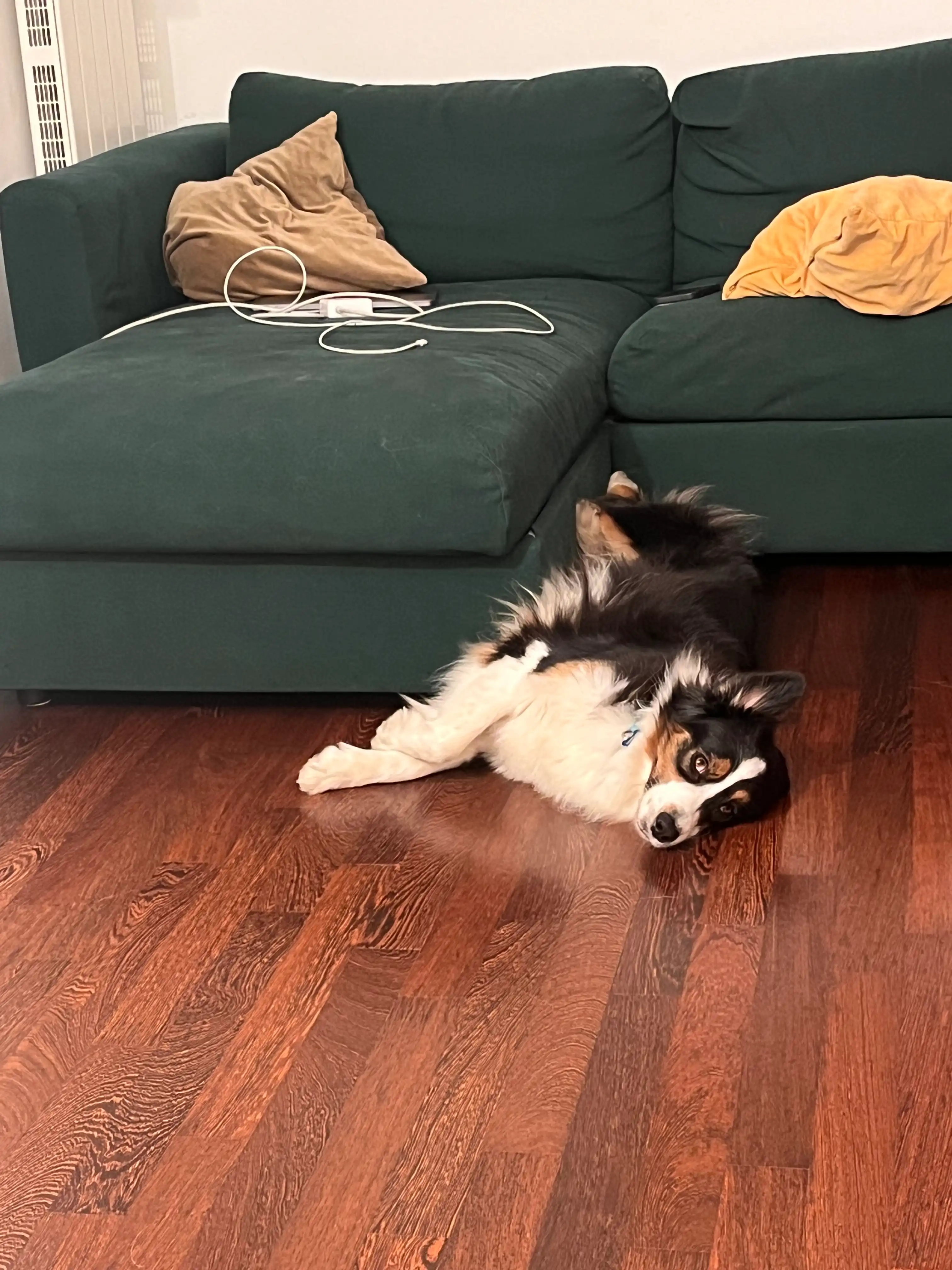 image-16