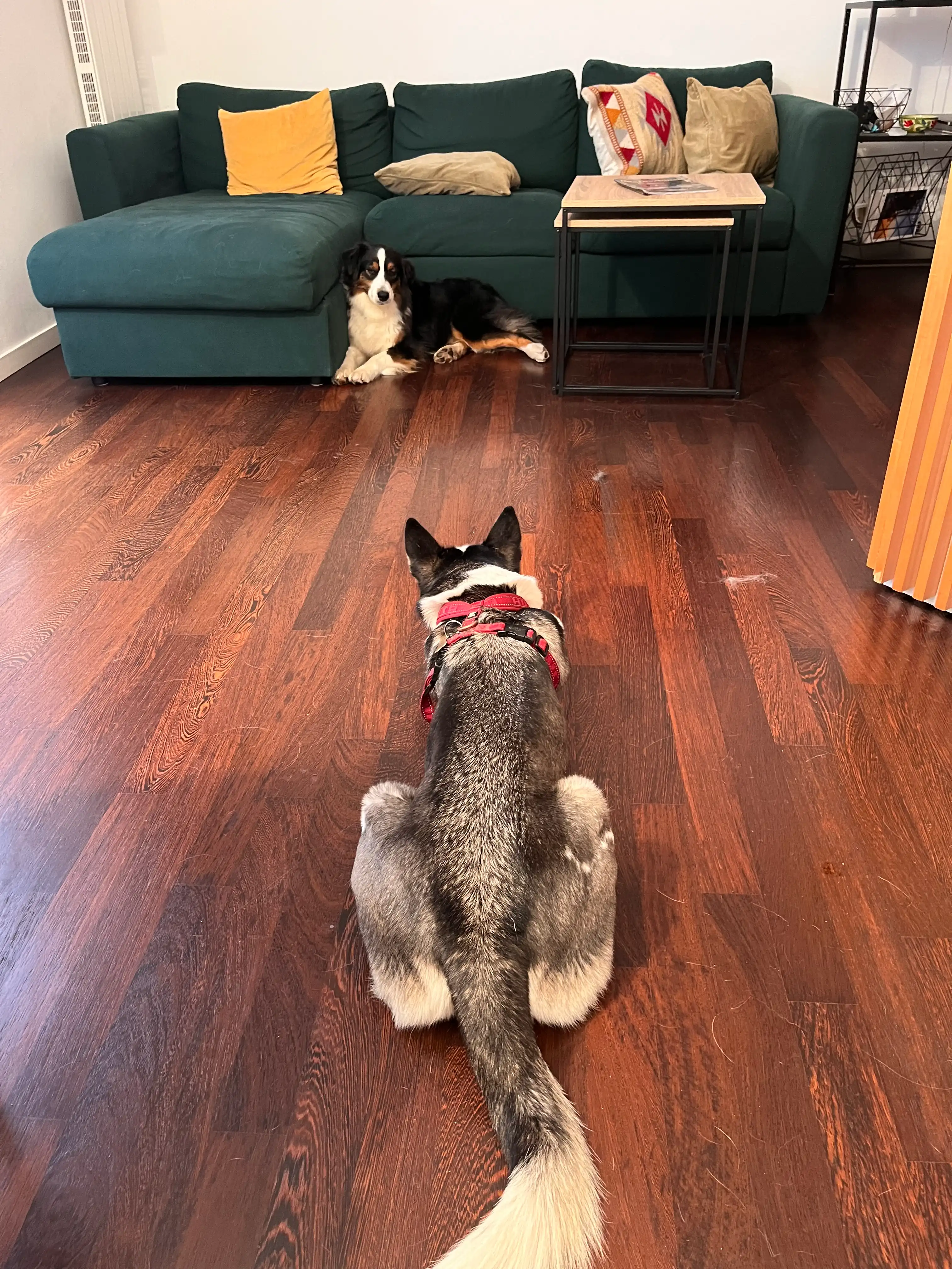 image-15
