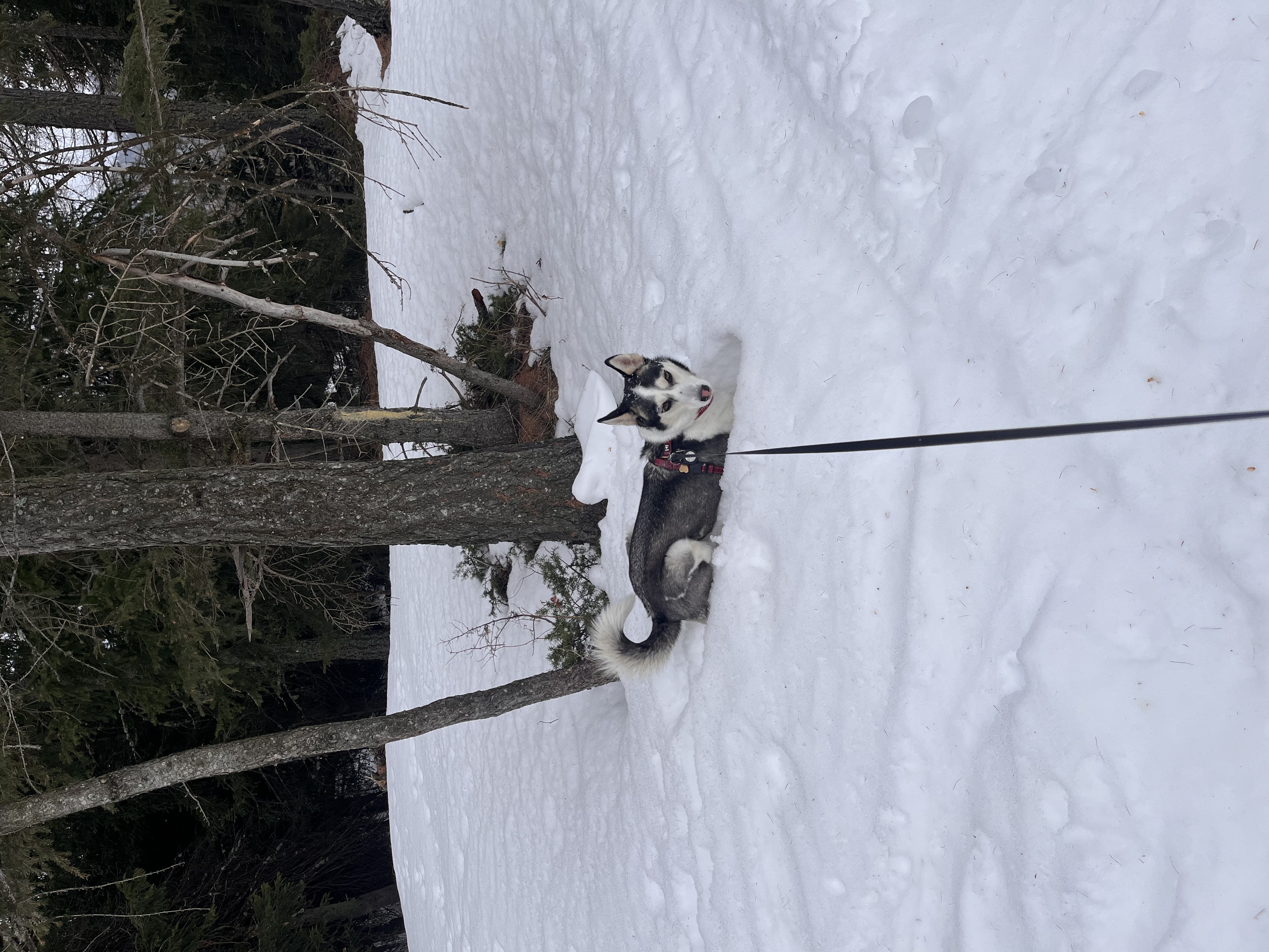 image-8