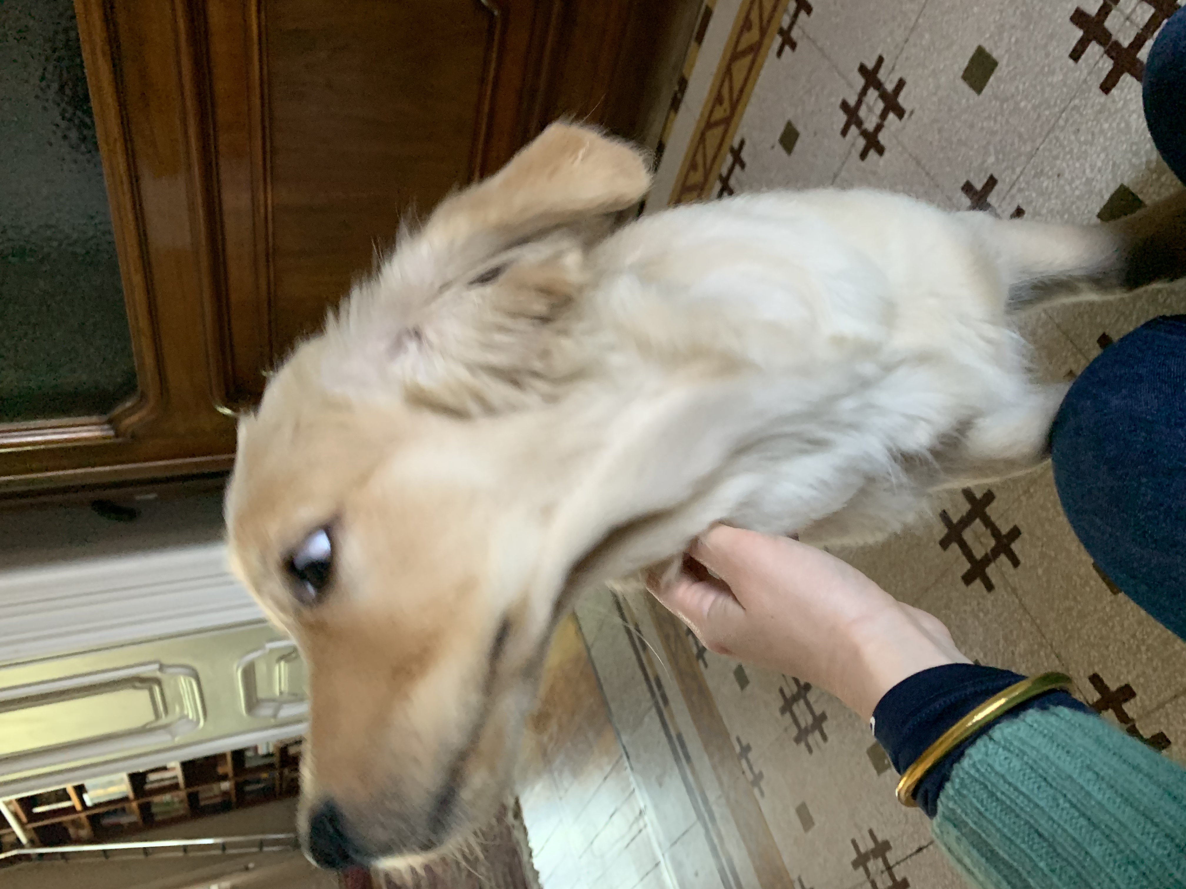 image-9