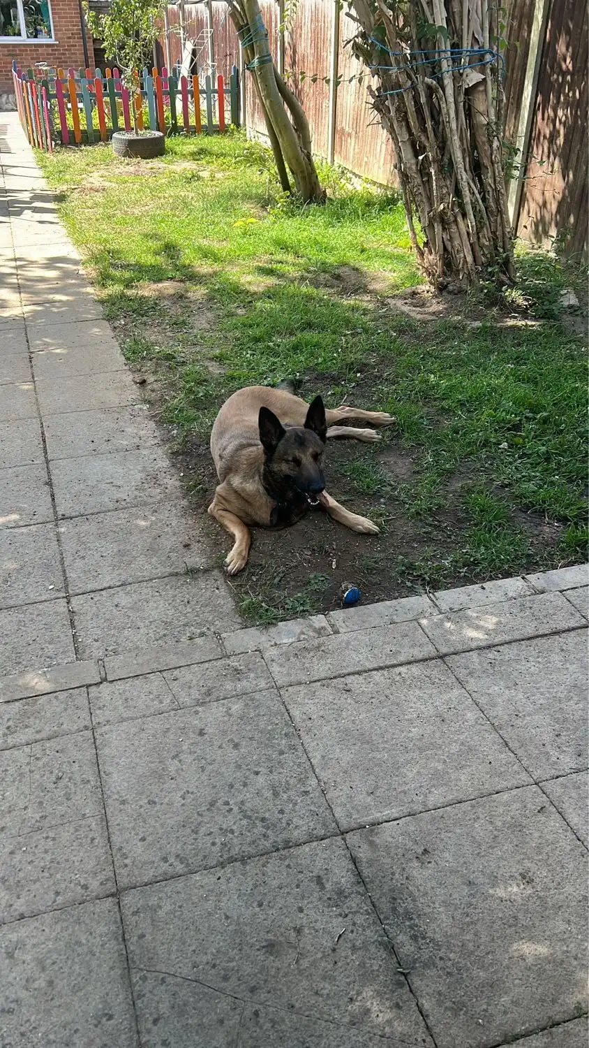 image-9