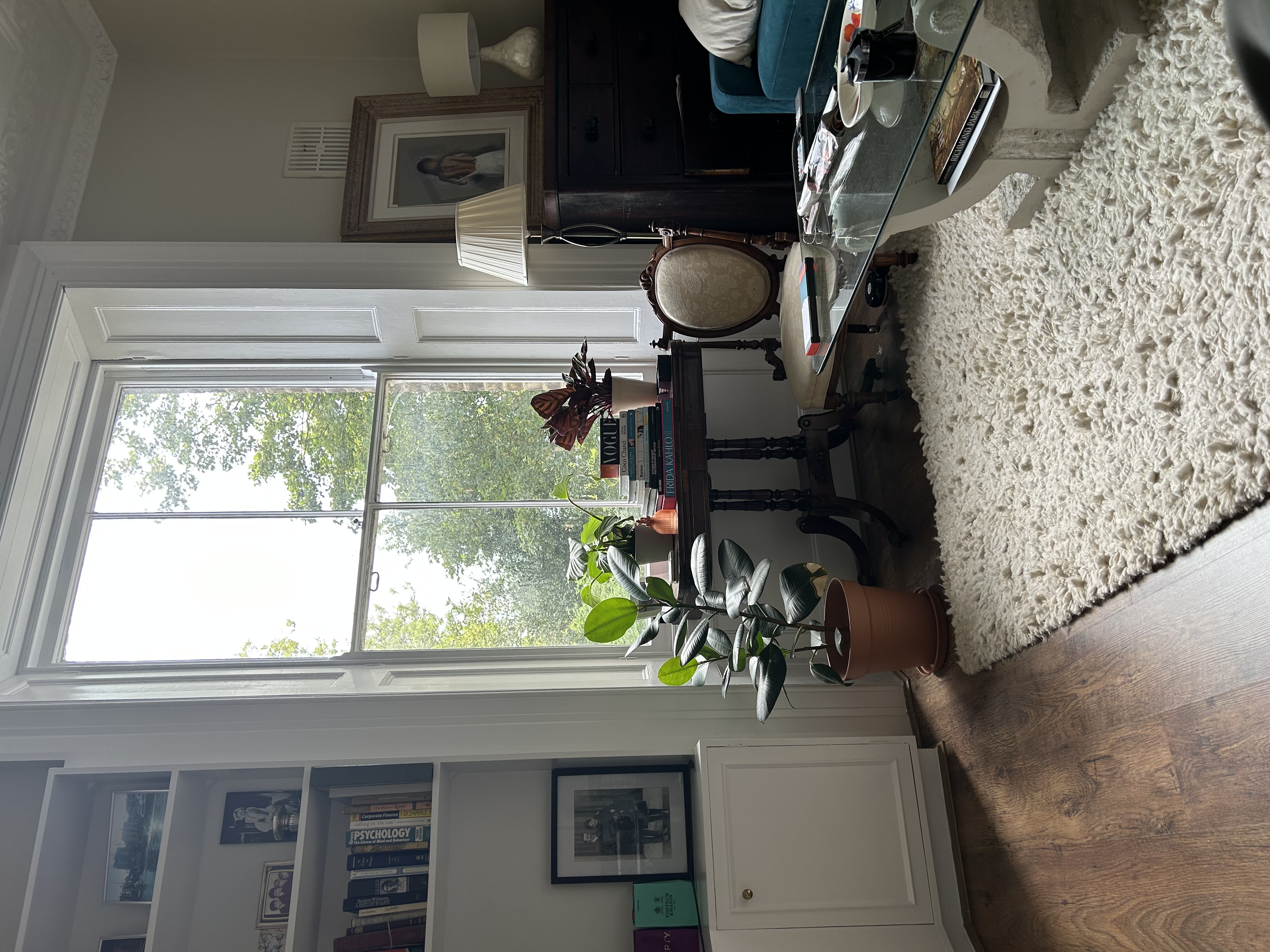 image-19