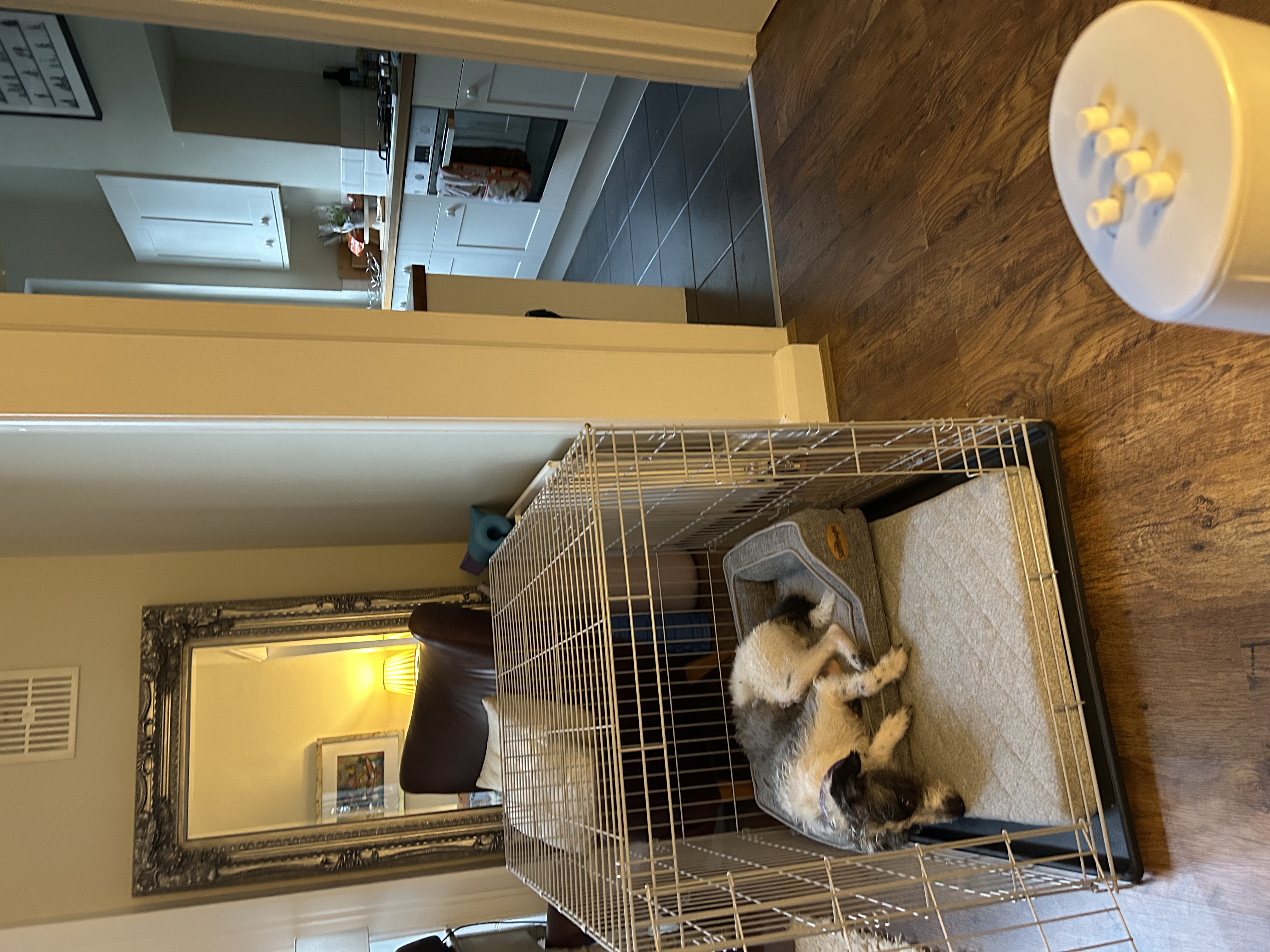 image-14