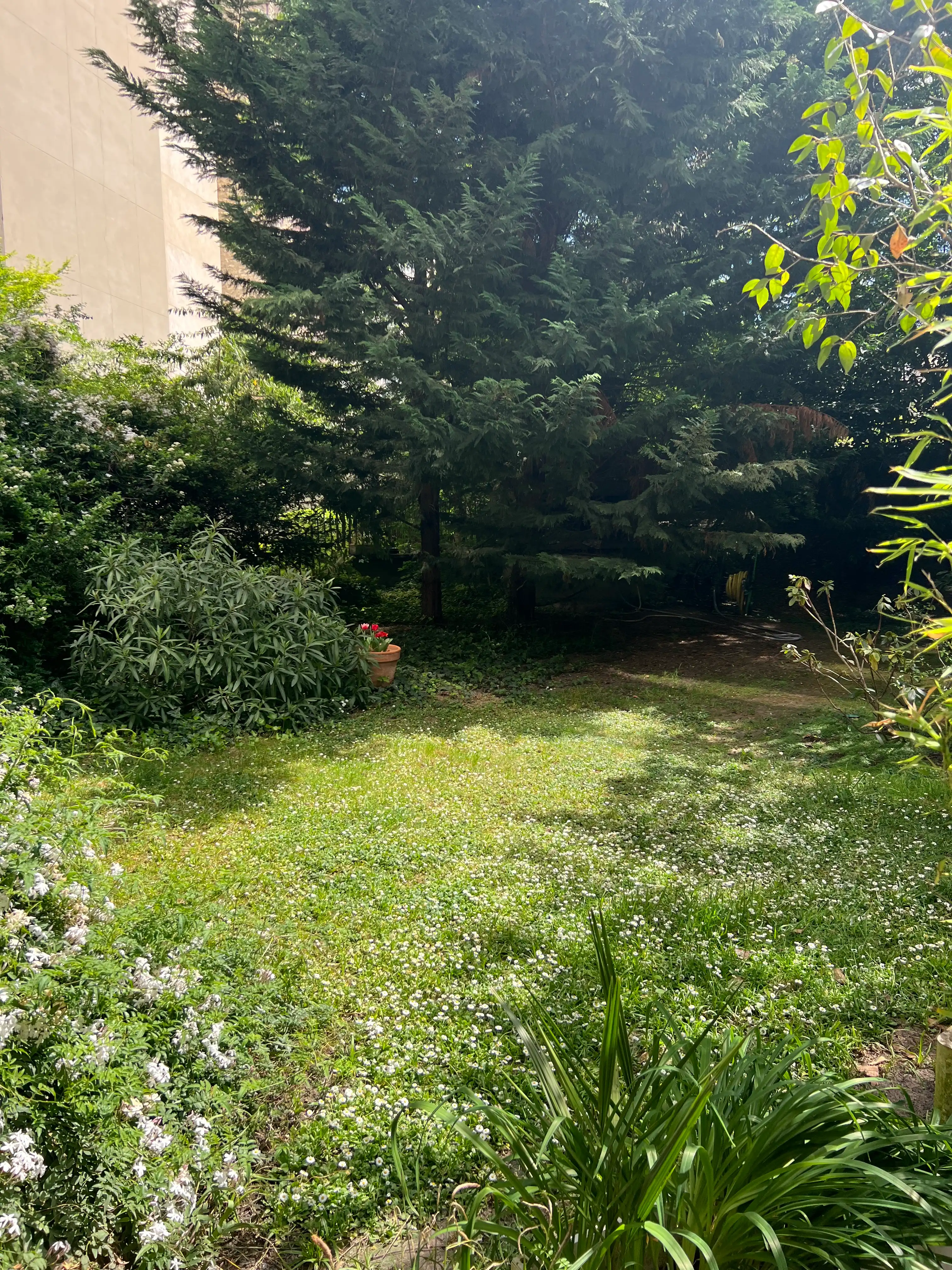 image-20