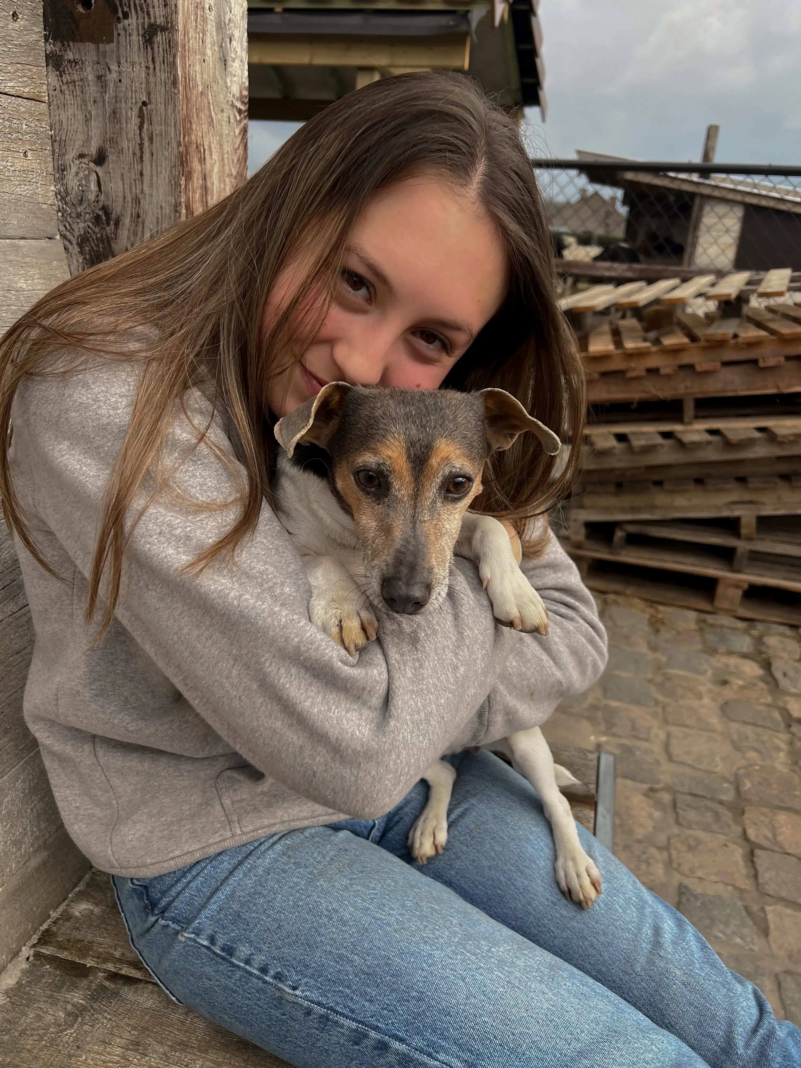 image-7
