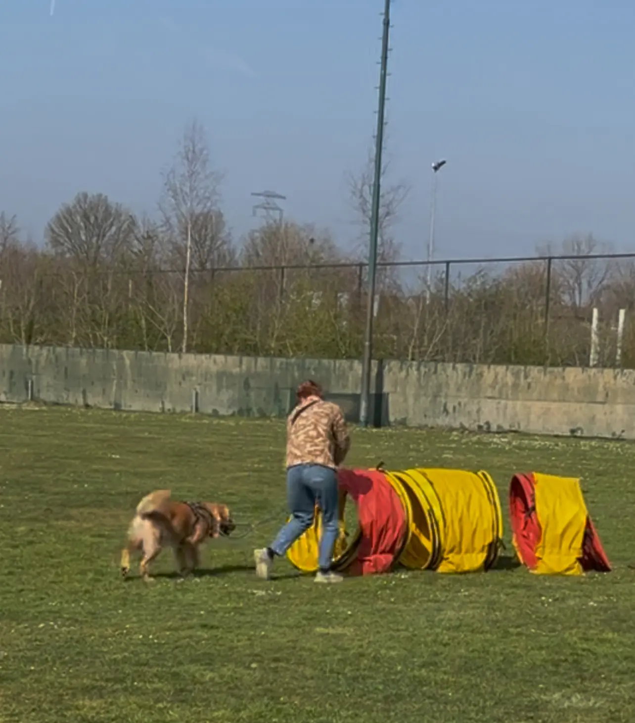 image-0