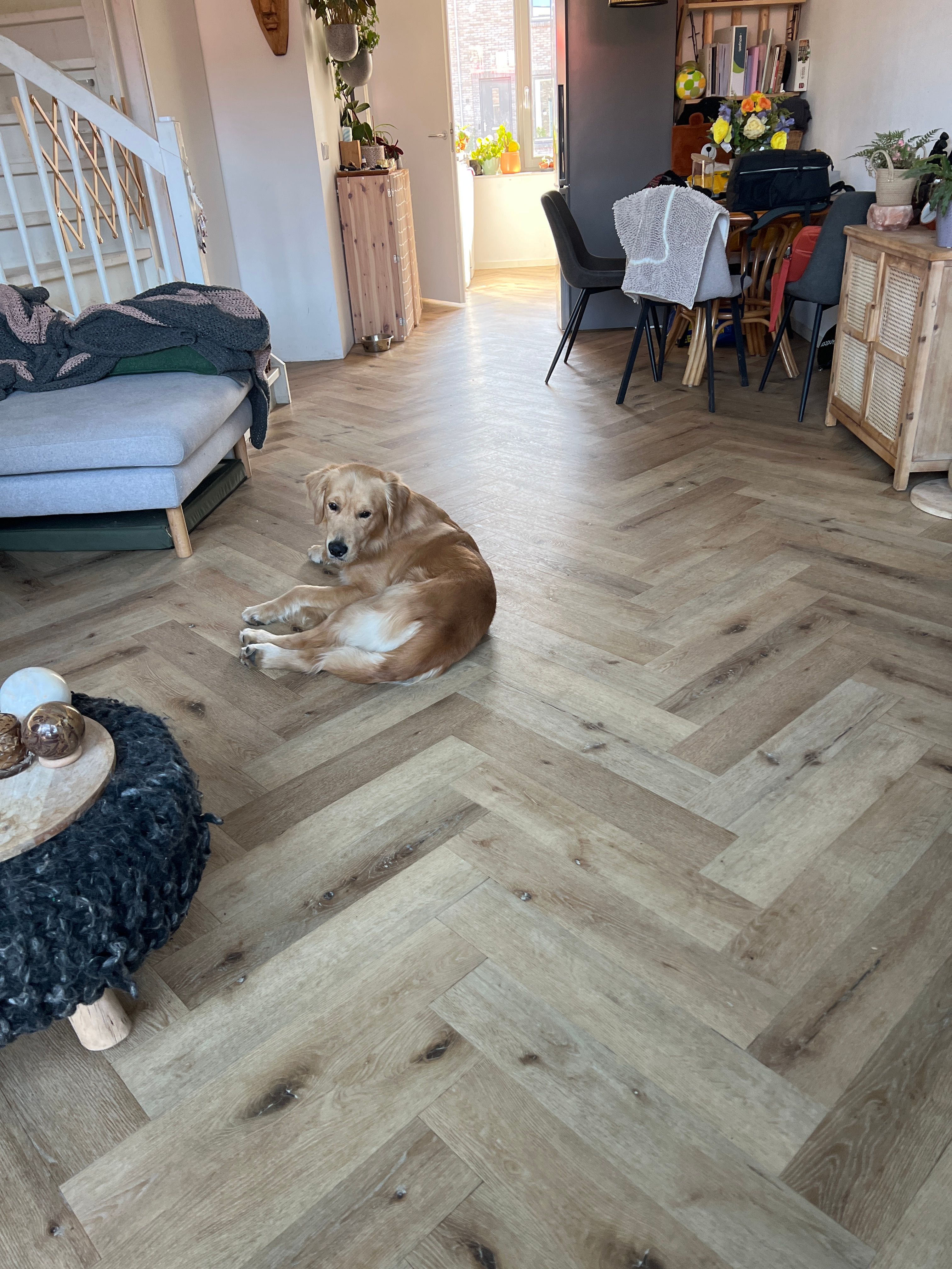 image-19