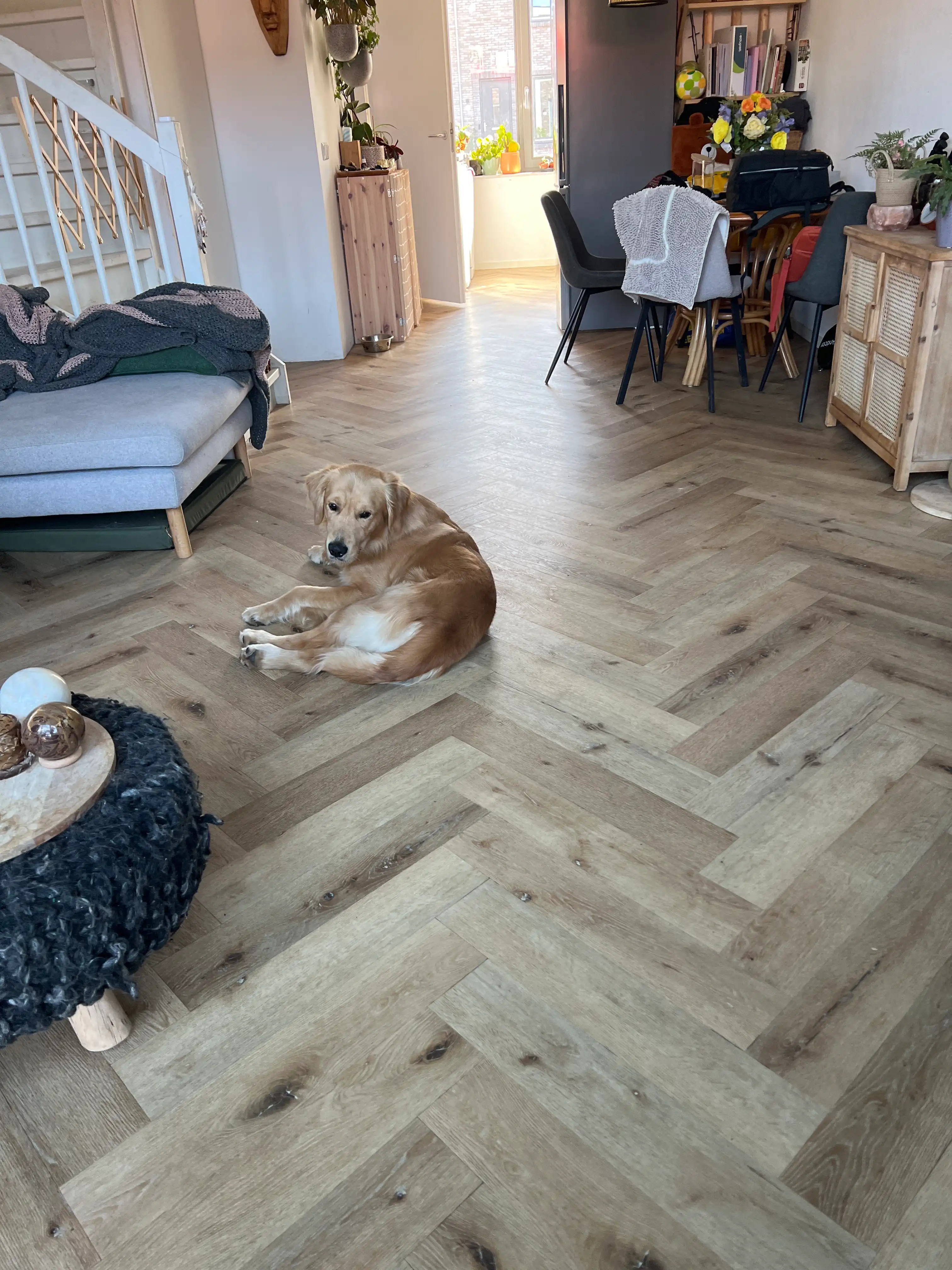 image-19