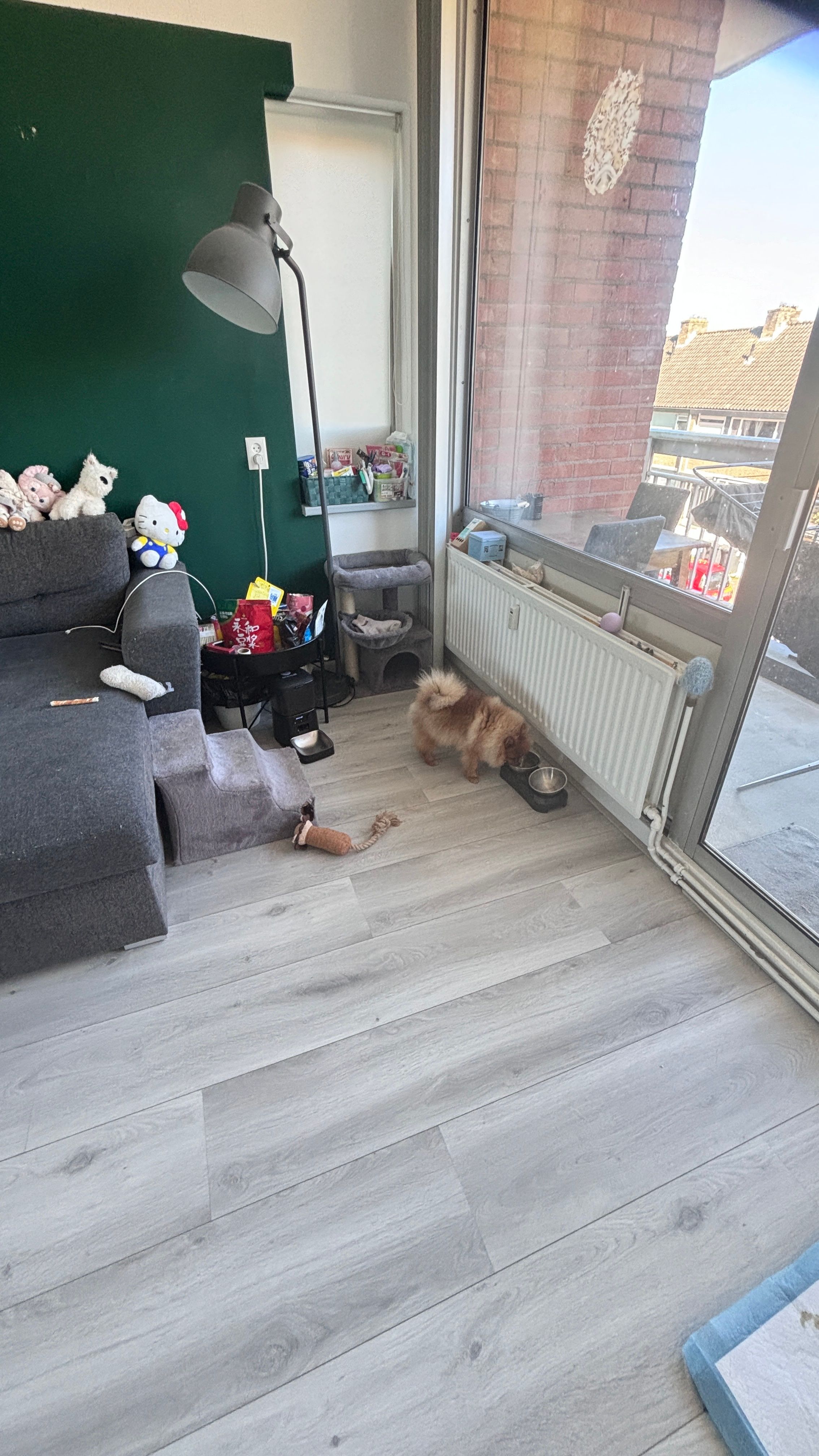image-13