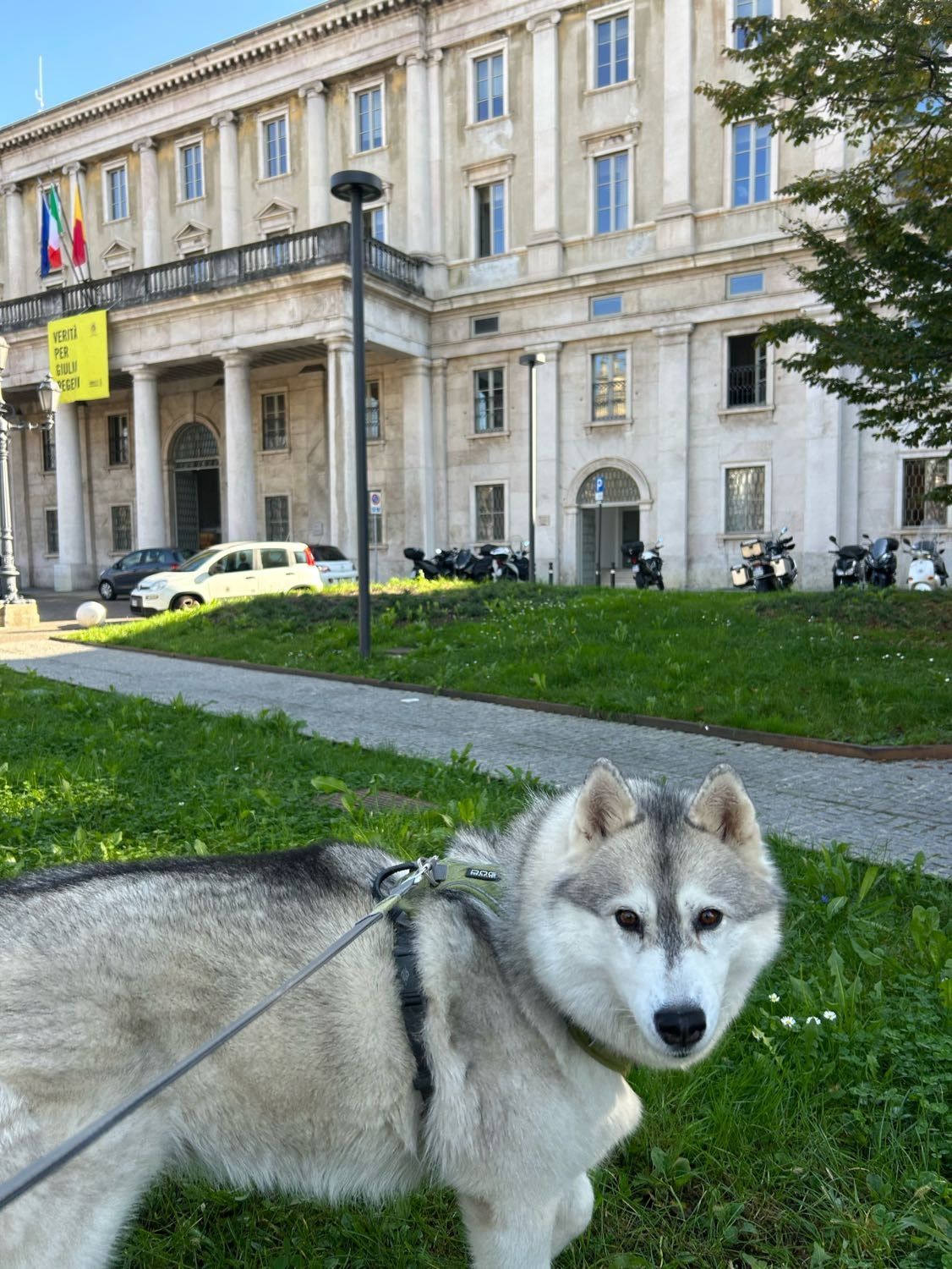 image-10