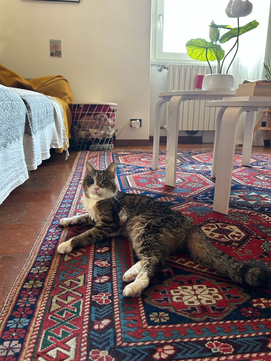 image-12