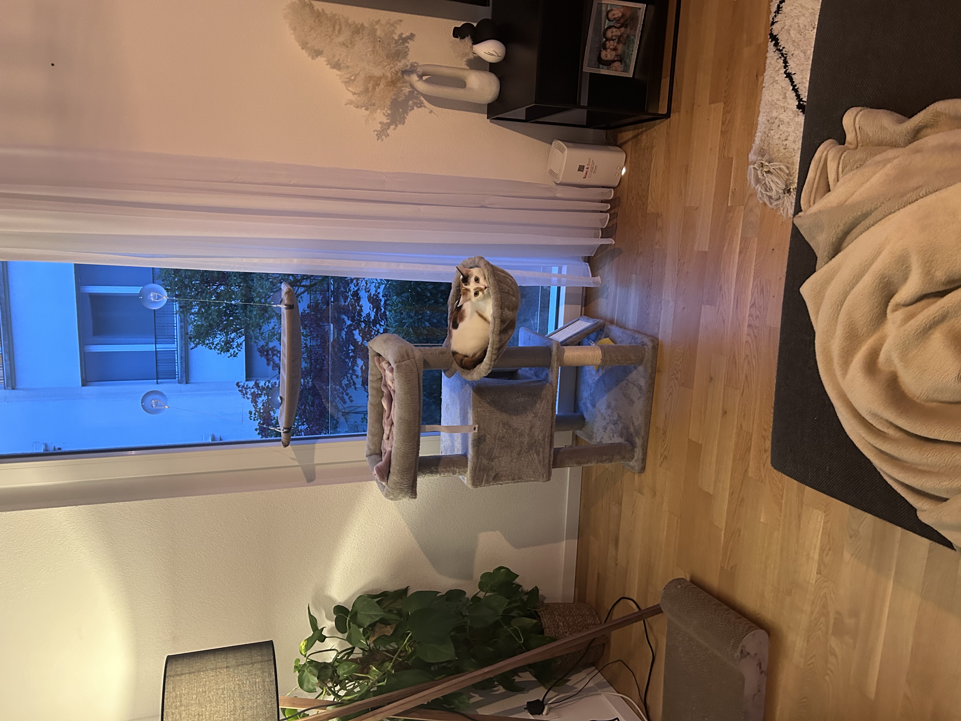 image-13