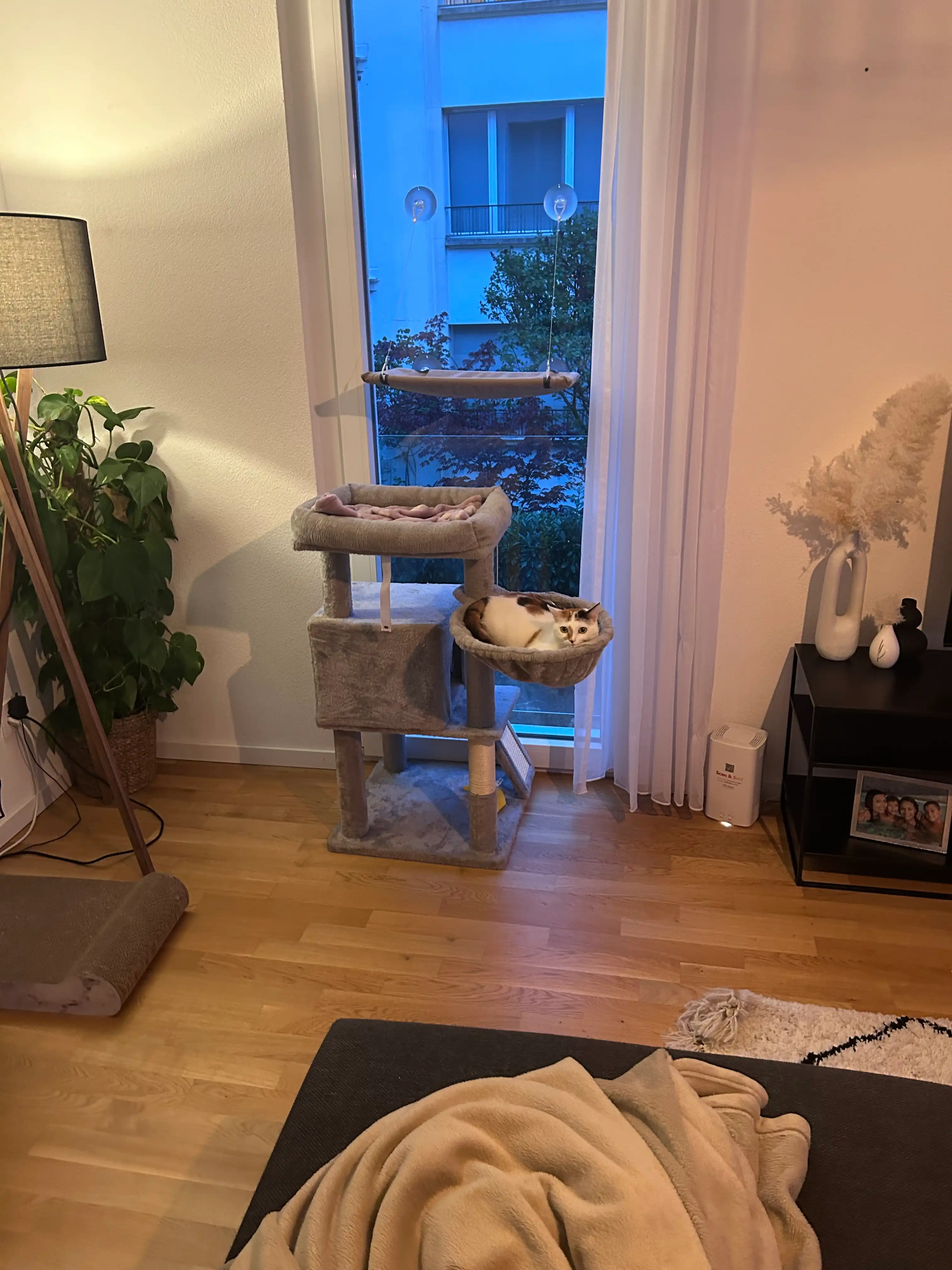 image-13