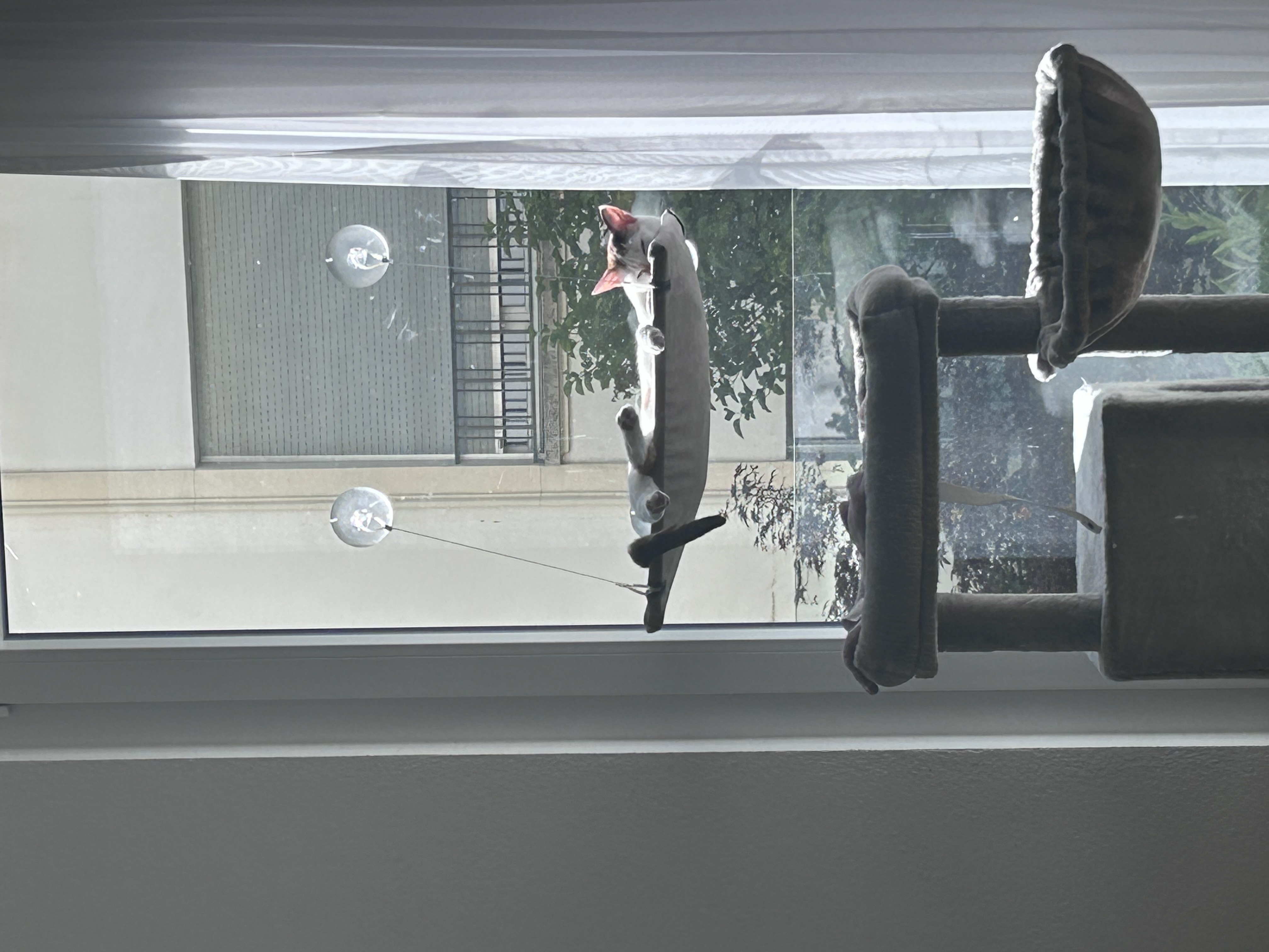 image-4