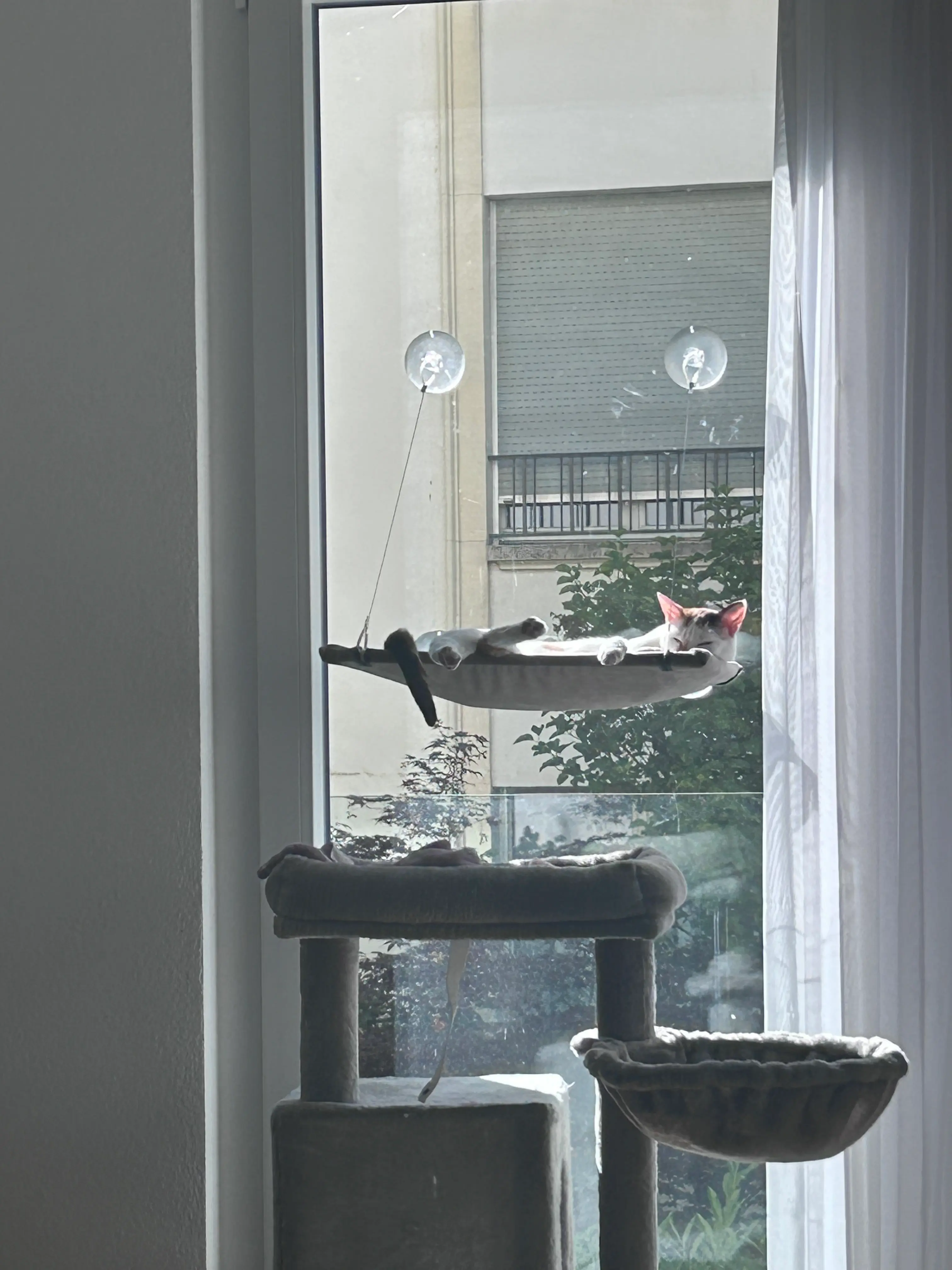 image-4