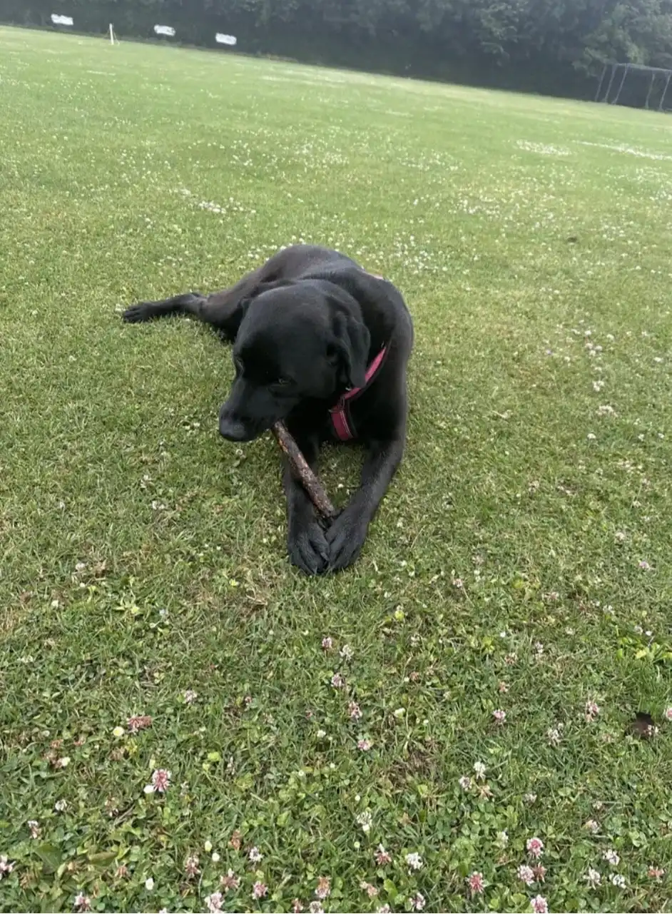 image-7