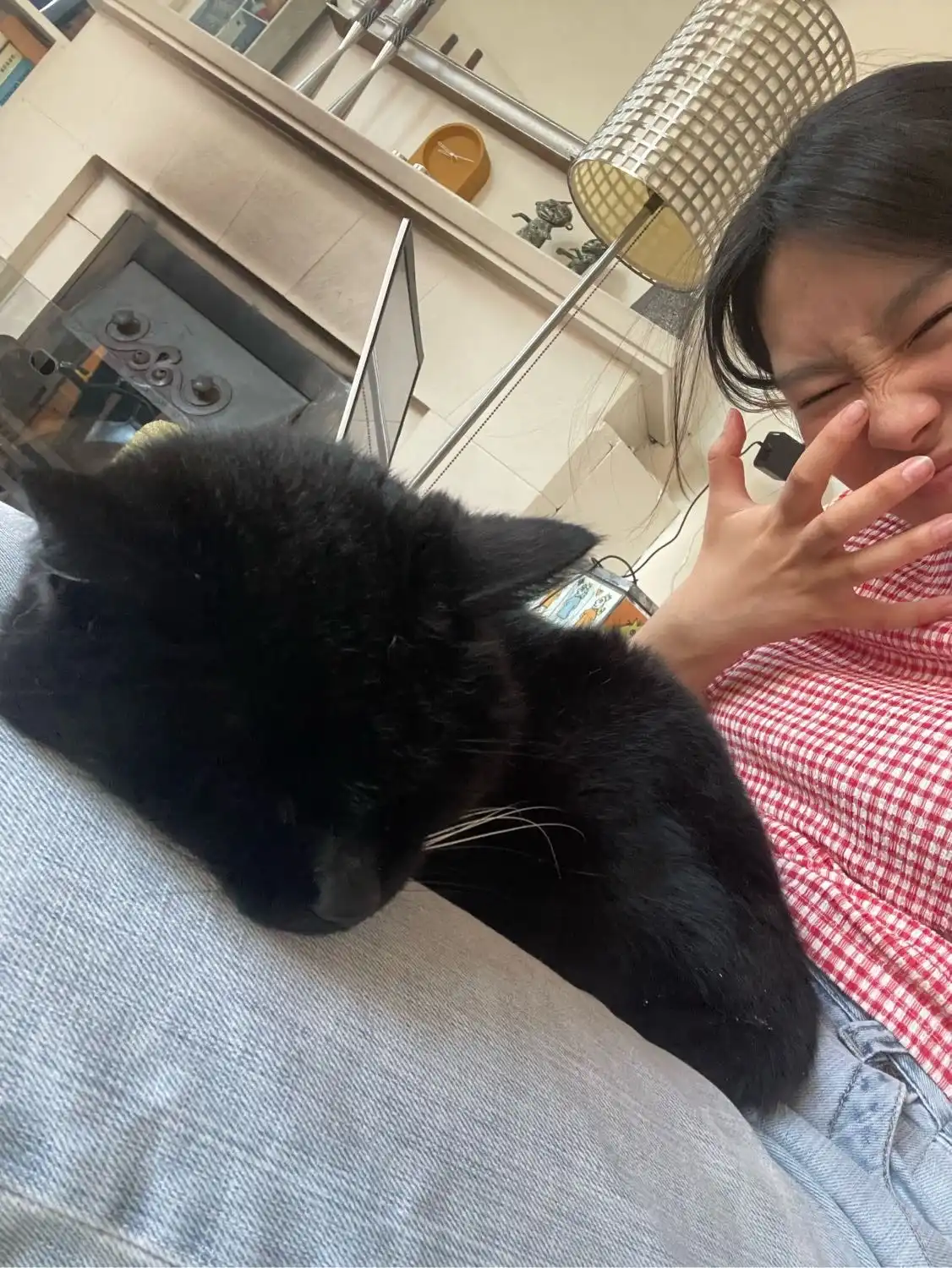 image-5