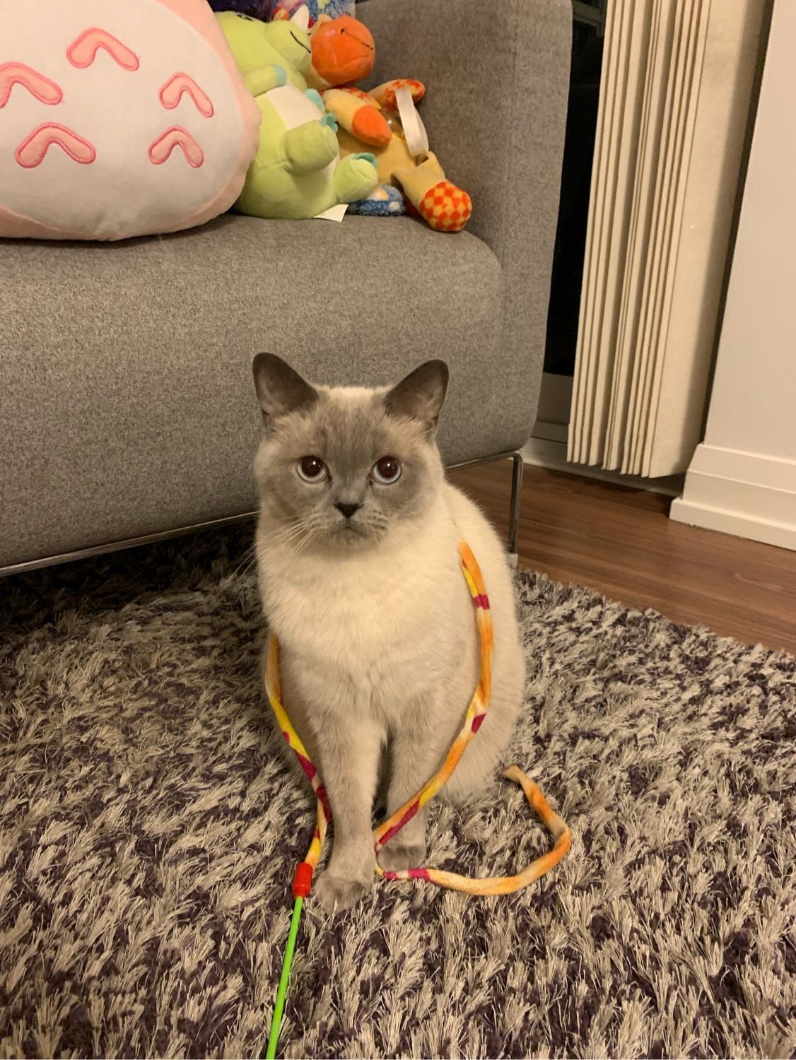 image-8