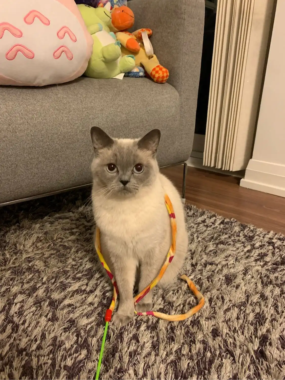 image-8
