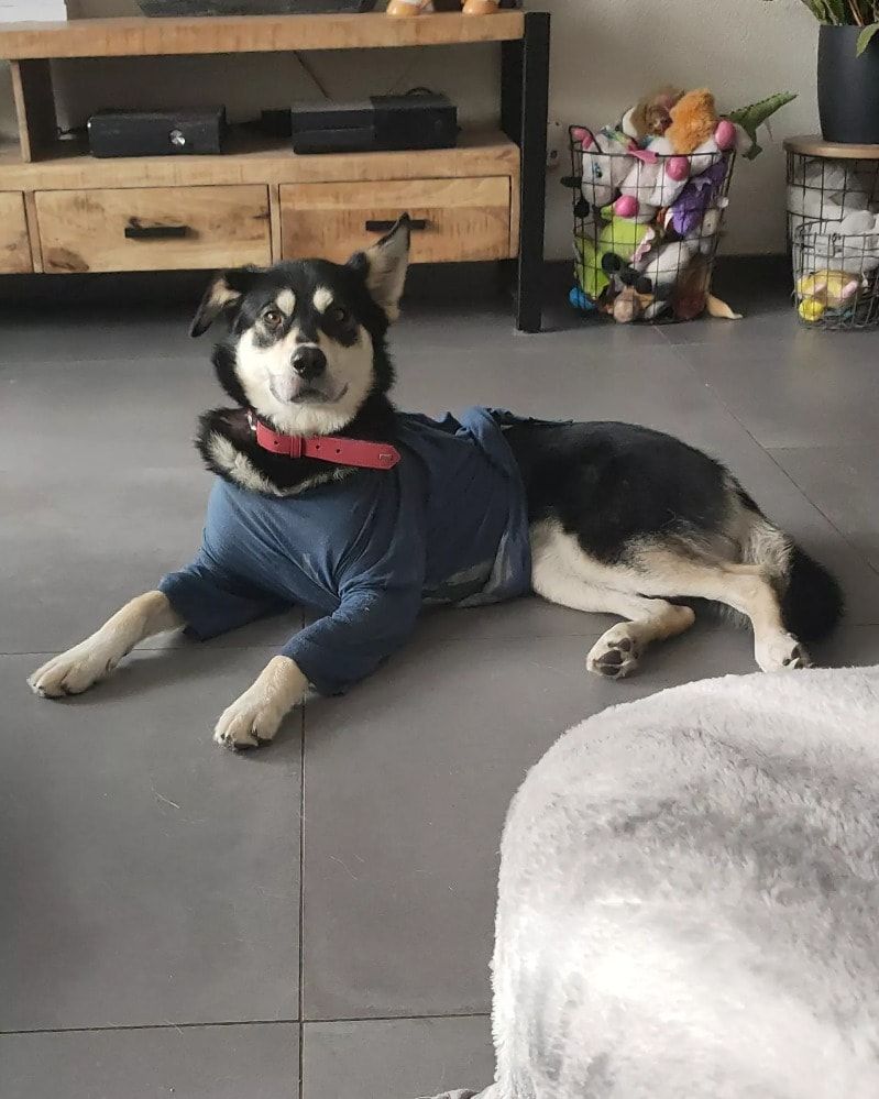 image-11