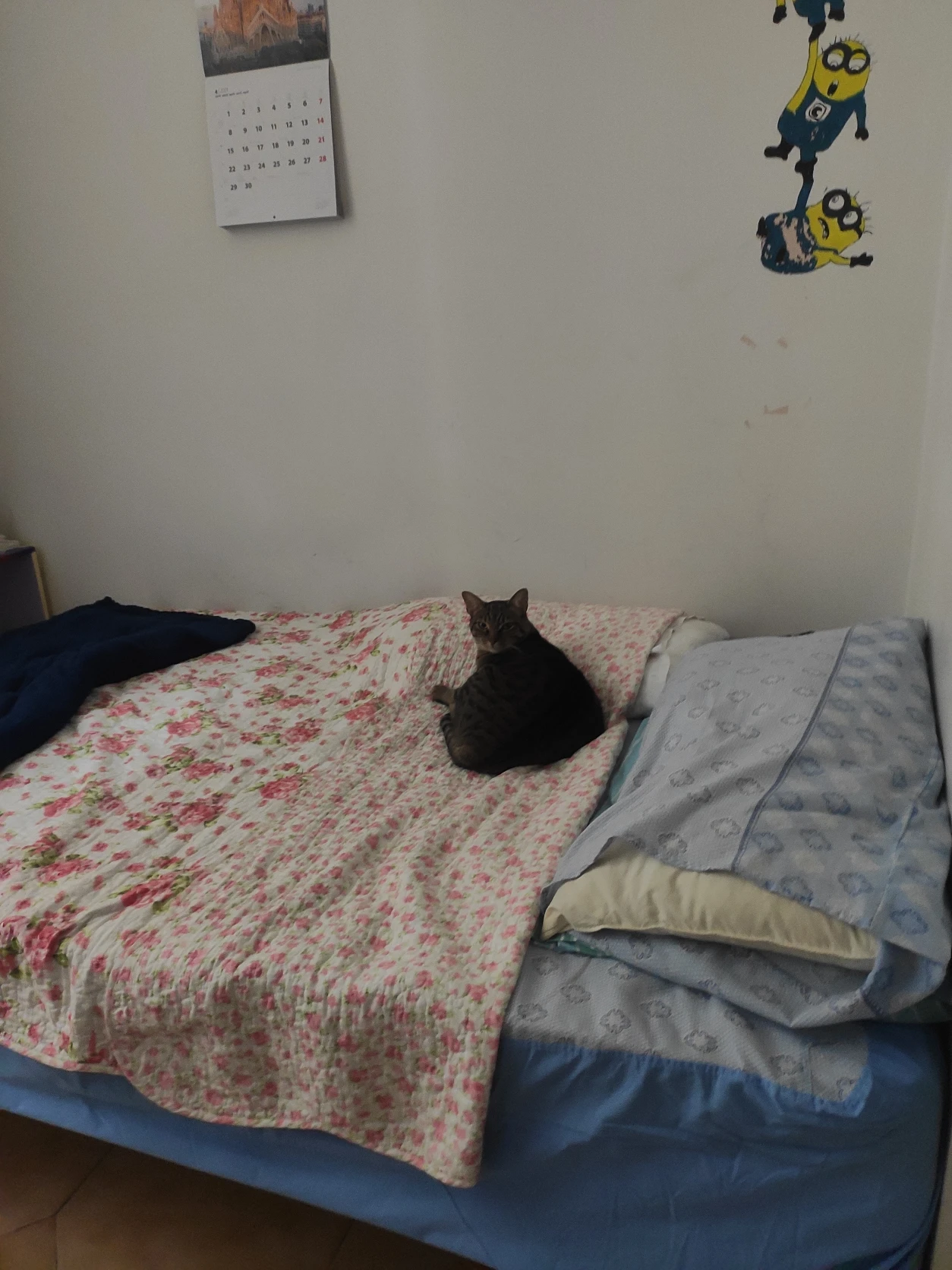 image-17
