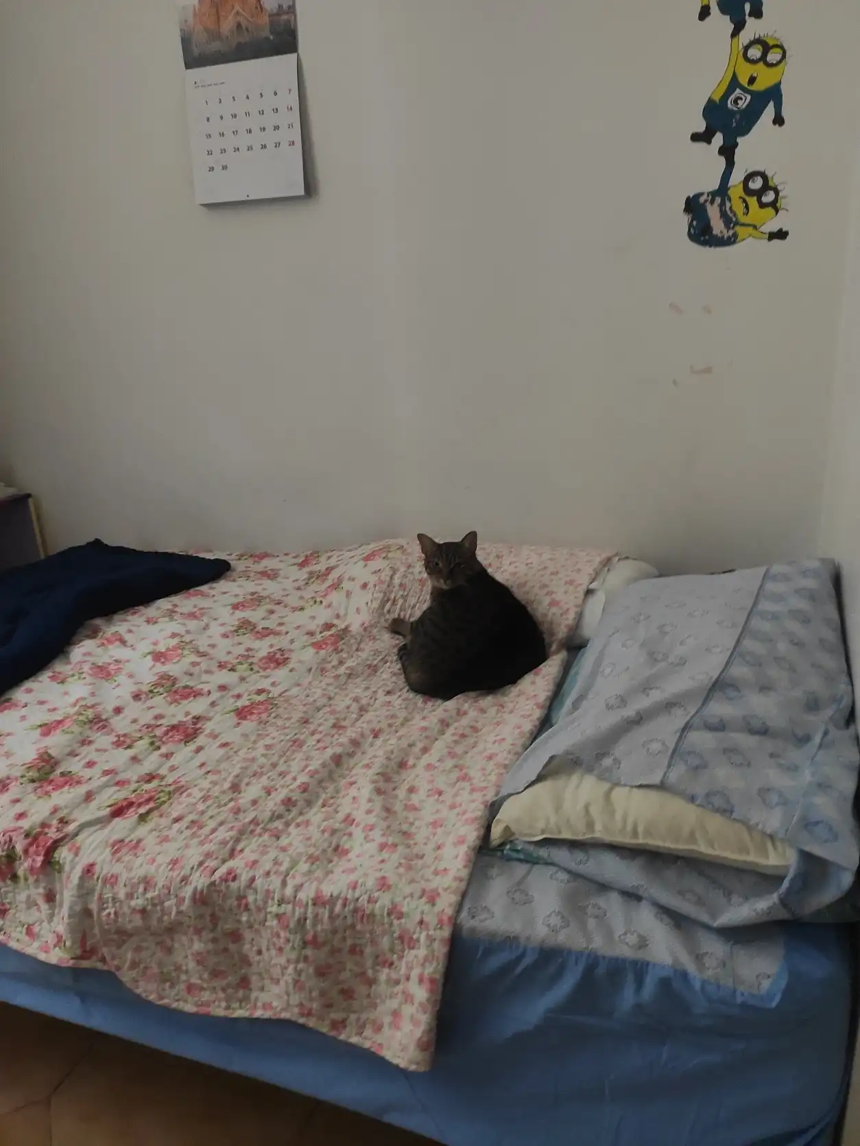 image-17