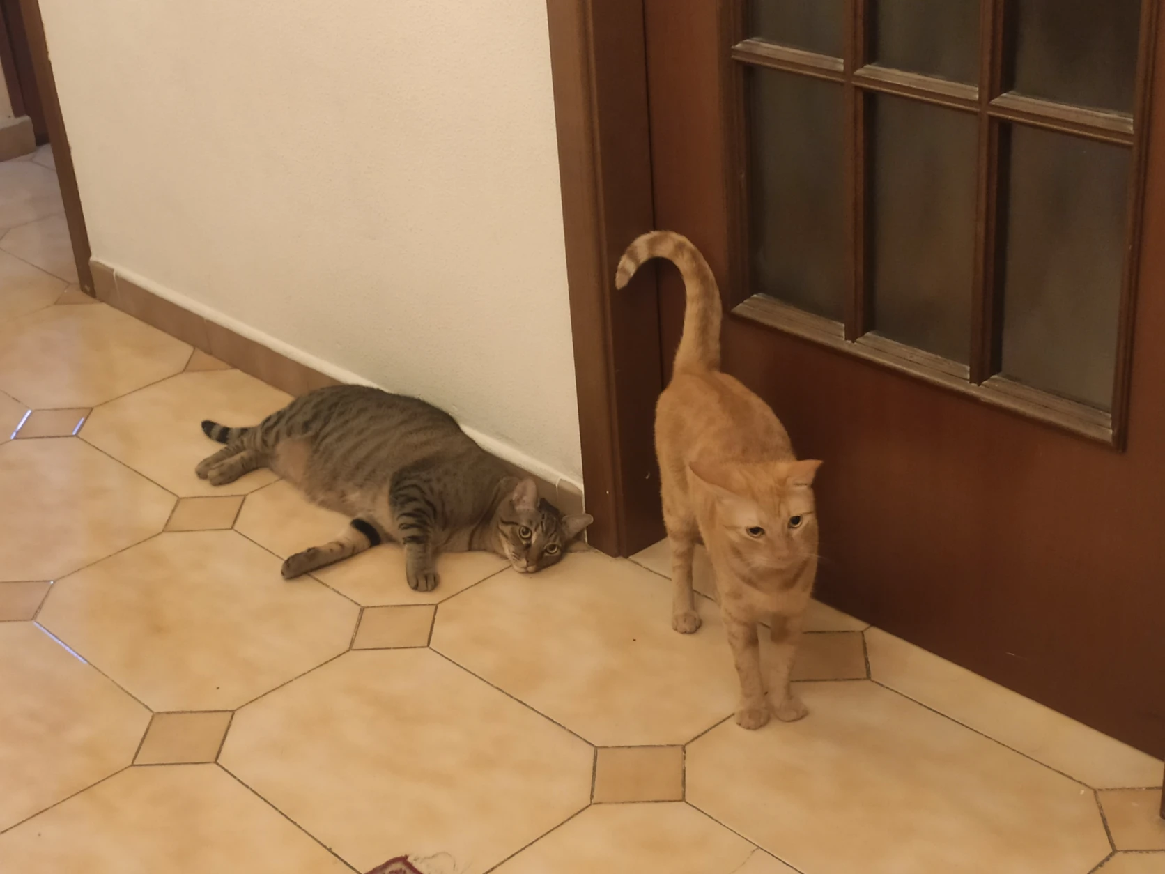 image-14
