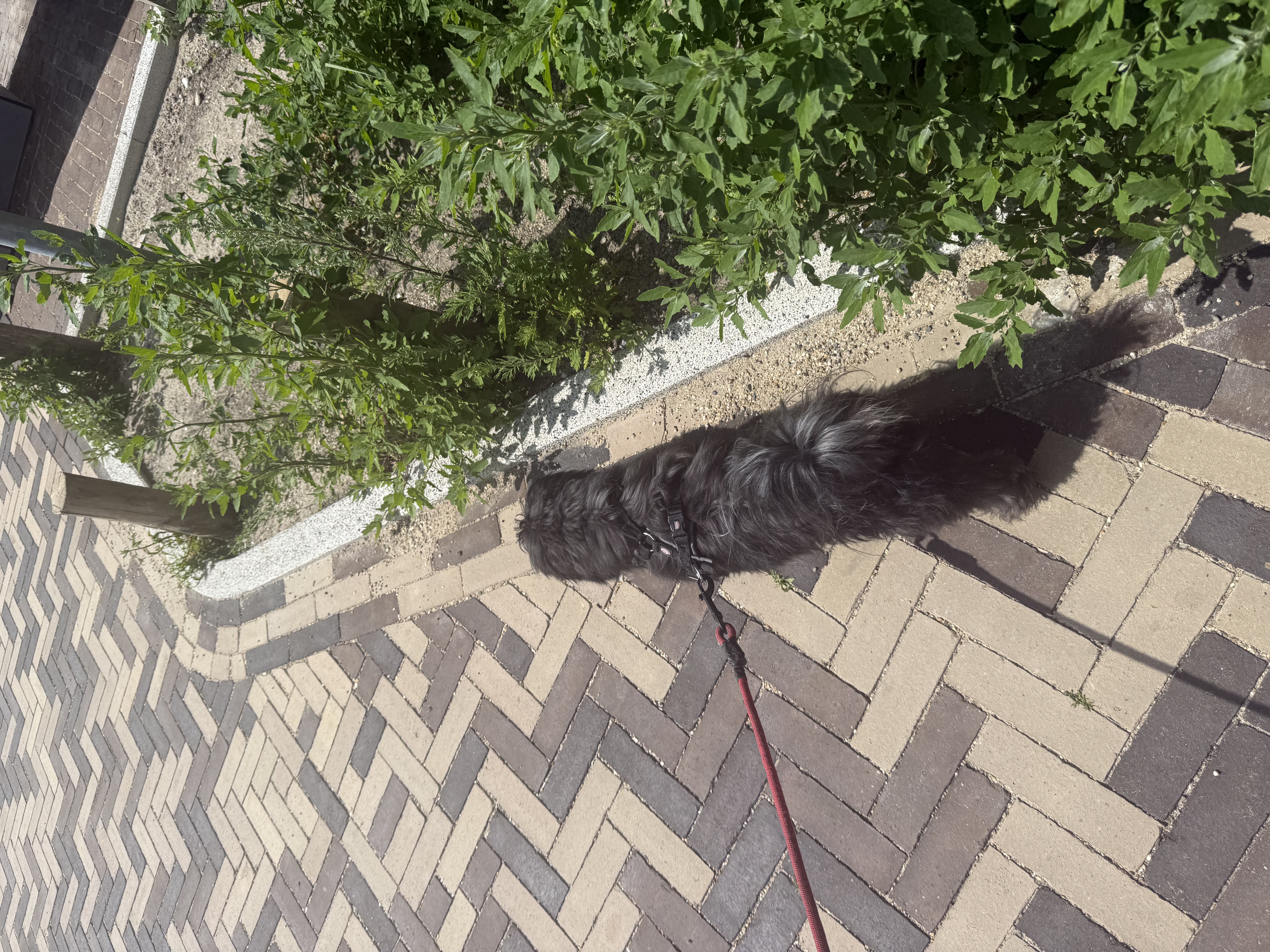 image-11